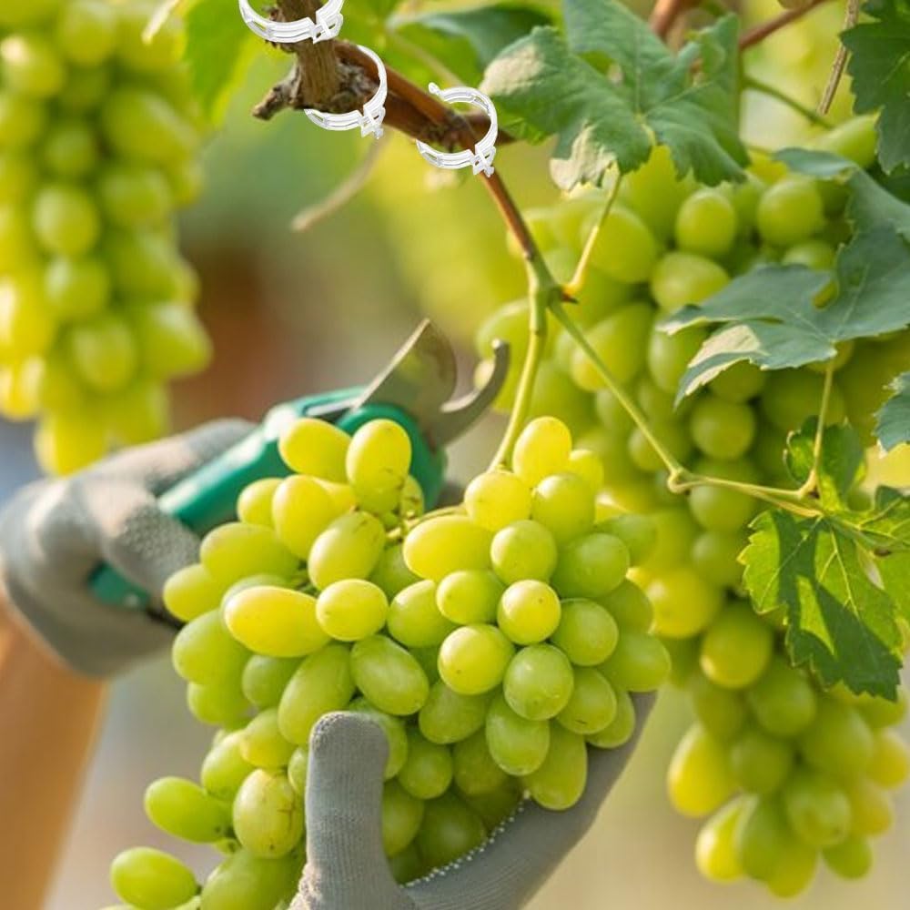 AIIONP 150 PCS Plant Support Clips Reusable Garden Clips, Secured Plastic Plant Clips, Tomato Support Clips for String Trellis for Climbing Plants Outdoor Indoor Plant Flowers Stem Vine Fixing Clips