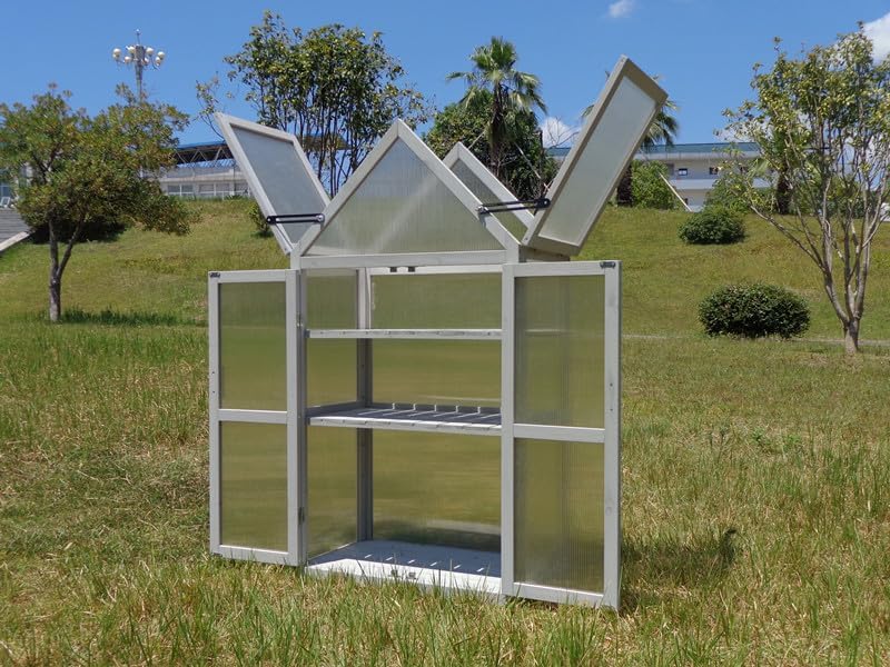 Cold Frame Greenhouse, Small Wood Greenhouses, Mini Polycarbonate Green House with Adjustable Roof, 2 Adjustable and Removable Shelves for Outdoors, Indoors Plant, Flower, Vegetable