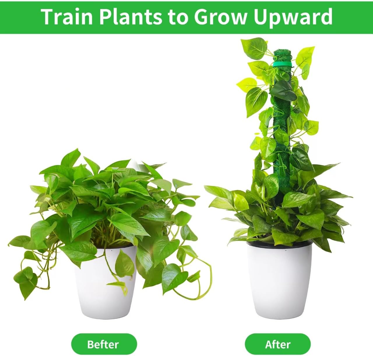 2 Pack Moss Pole, LveSunny 16 Inch Green Stackable Monstera Plant Support, Ideal Moss Poles for Climbing Plants, Moss Pole for Plants Indoor, Plant Support Stakes for Monstera and Potted Plants