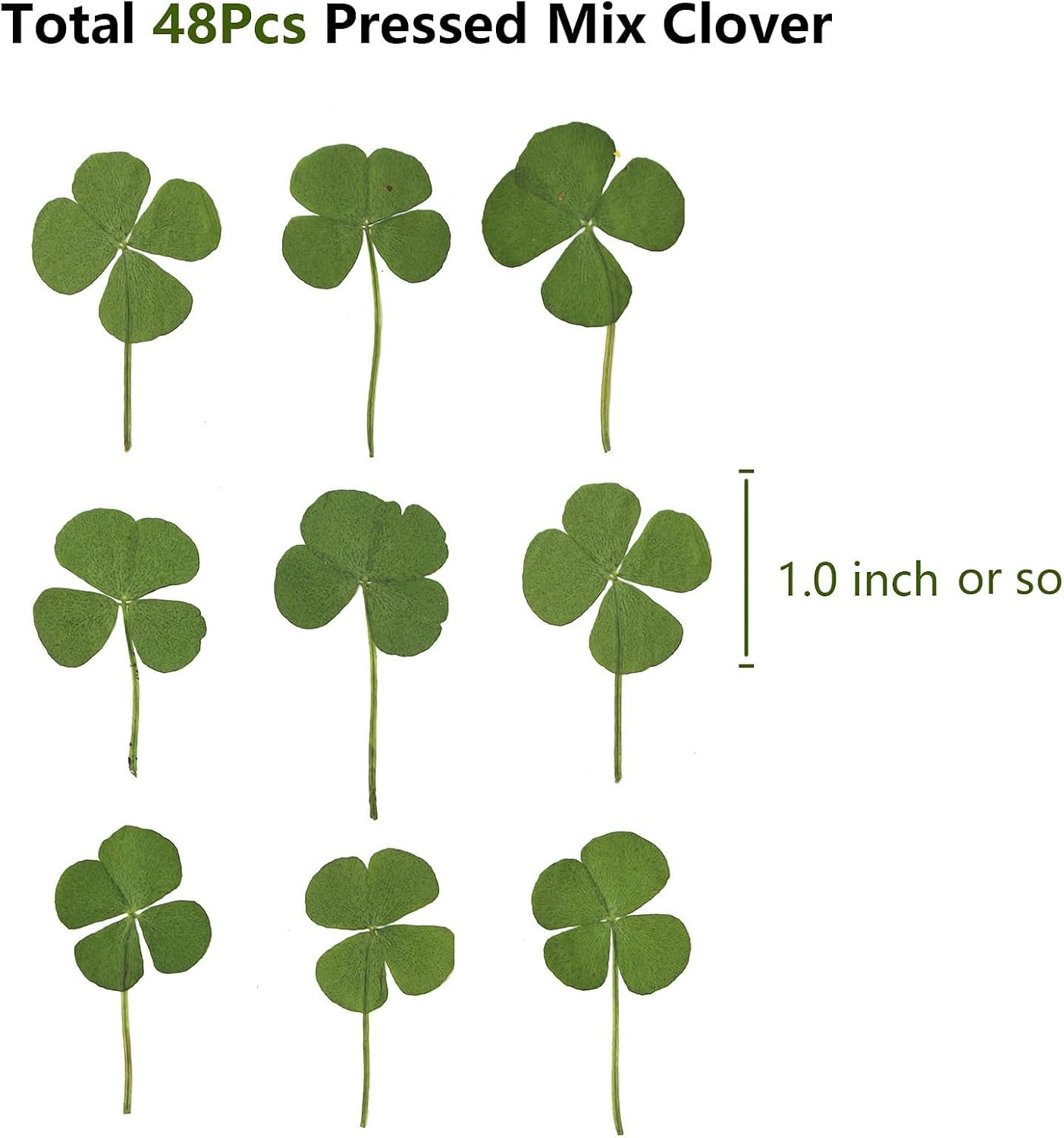 48 Pcs Mix Lucky Clover Natural Dried Pressed Flowers for Resin, Jewelry Making, Real Dry Flower for Cake Decorating , DIY Art Crafts - Four Leaf Clover