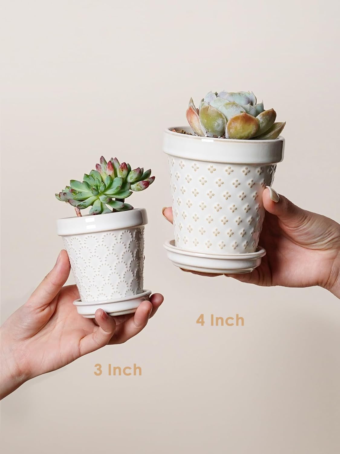 LE TAUCI Ceramic Succulent Pots, 4 Inch Small Plant Pot for Indoor Plant Cactus, Embossed Flower Pots with Drainage Hole & Saucer - Set of 4, Arctic White