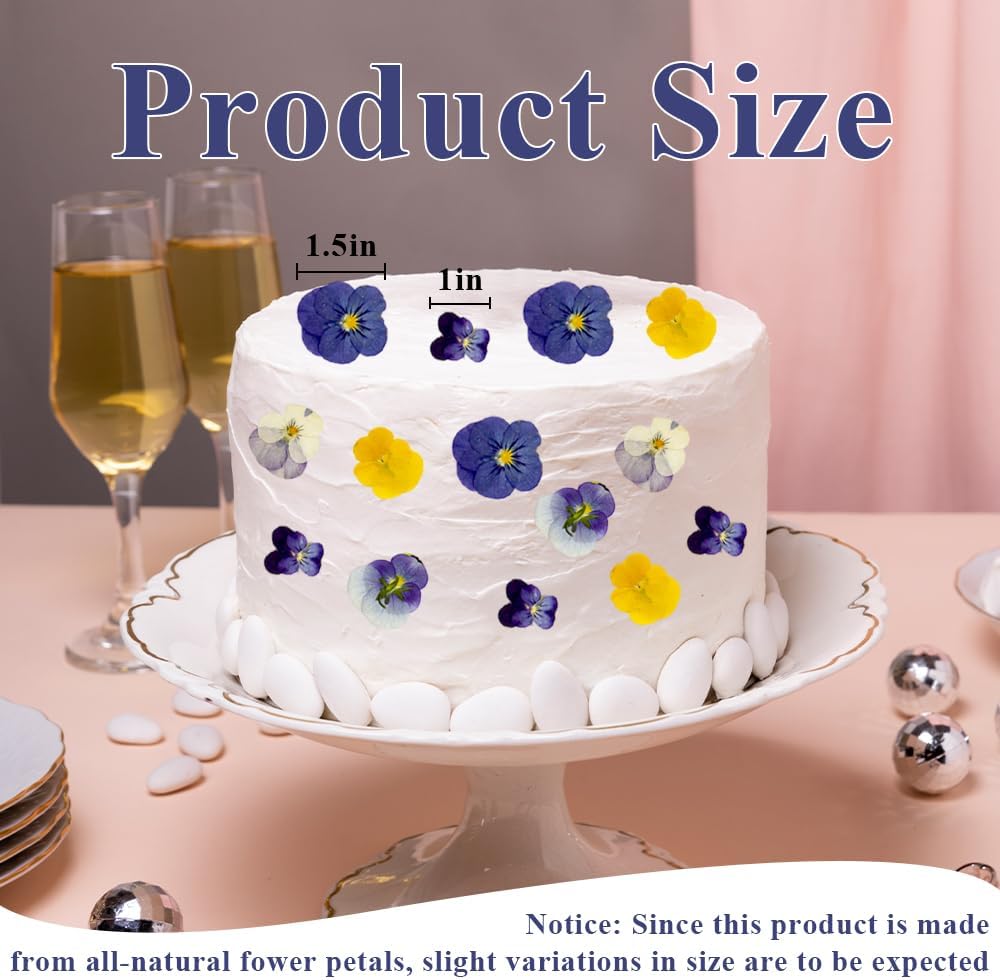 48Pcs 8 Kinds Natural Dried Pressed Edible Flowers for Cake Topper Decorating - Mix Viola Tricolor for Cocktails Cupcake Toppers, Resin DIY Art Jewelry Candle & Soap Making
