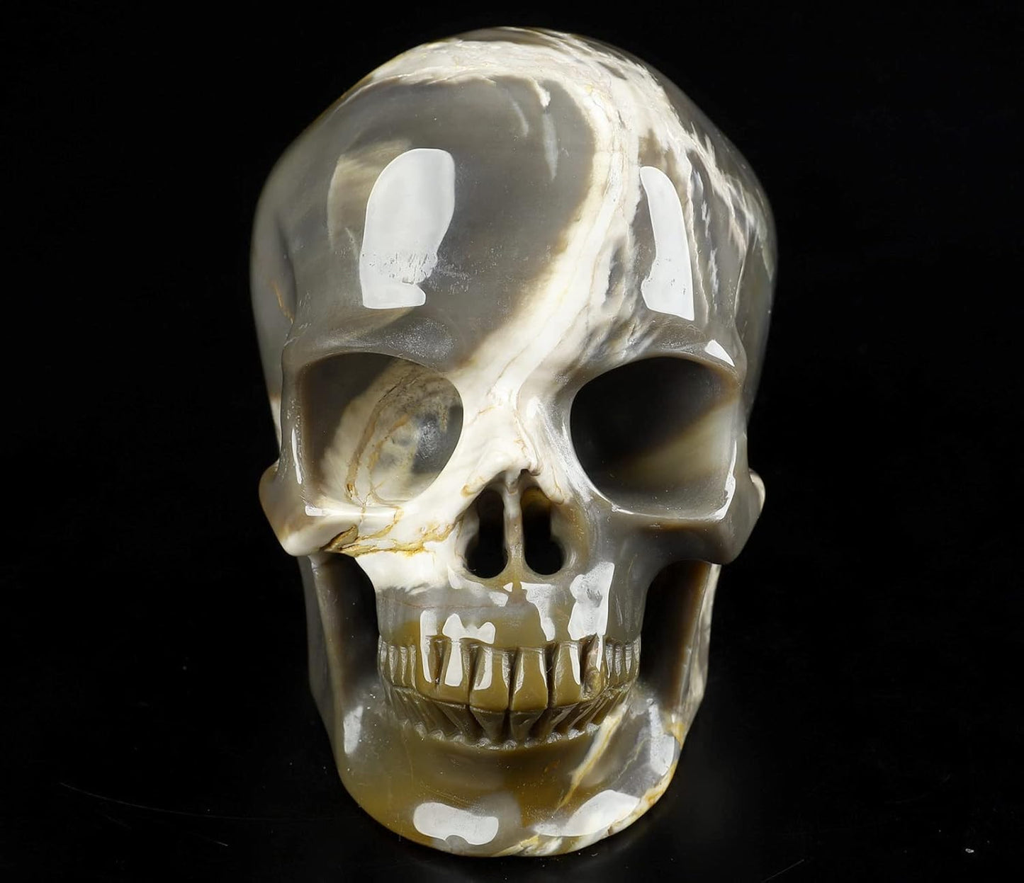 Skullis 5.0" African Petrified Wood Super Realistic Crystal Carved Crystal Skull. Hand Carved Gemstone Fine Art Sculpture.2260 Z8