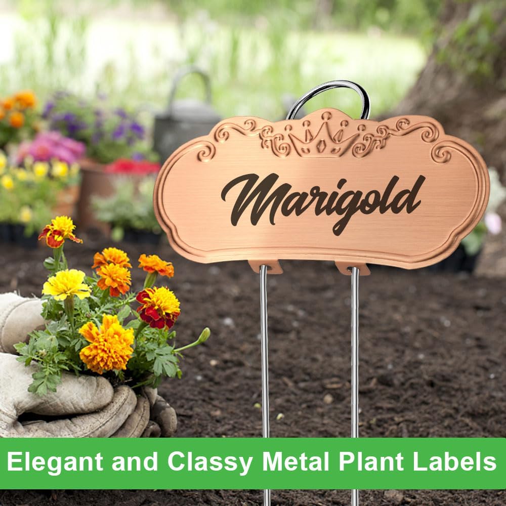 50 Packs Metal Plant Labels, Tall Outdoor Garden Markers for Flowers, Fruits and Vegetables, 304 Stainless Steel Weatherproof Signs (4" x 1.9", Gold)