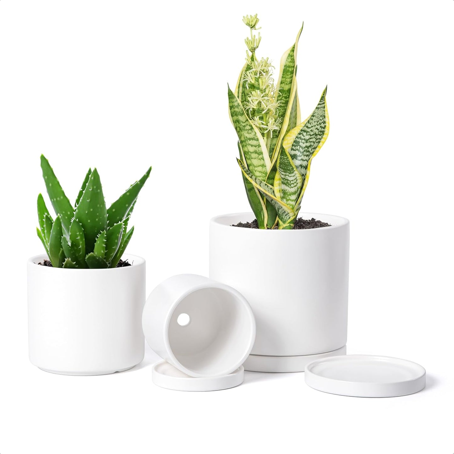 D'vine Dev White Terracotta Pots for Plants, 4.2 Inch 5.3 Inch 6.5 Inch, Succulent Planter Pot with Drainage and Saucer, 40-T-A-1
