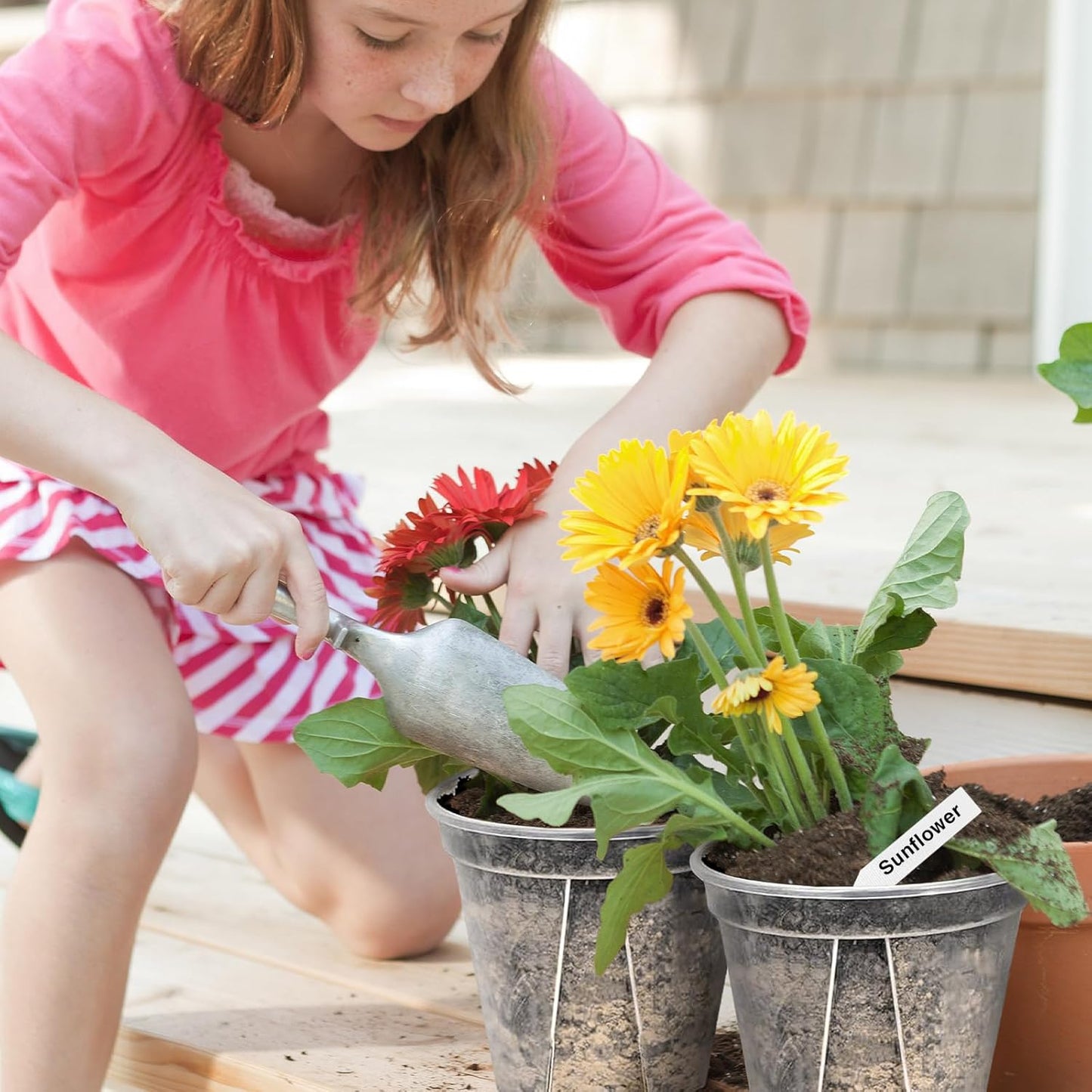 33PCS Frosted Clear Plastic Plant Pots with 33 Plant Labels 4/5/6/7/8/9 Inch Thickened PP Nursery Pots for Indoor Outdoor Plants