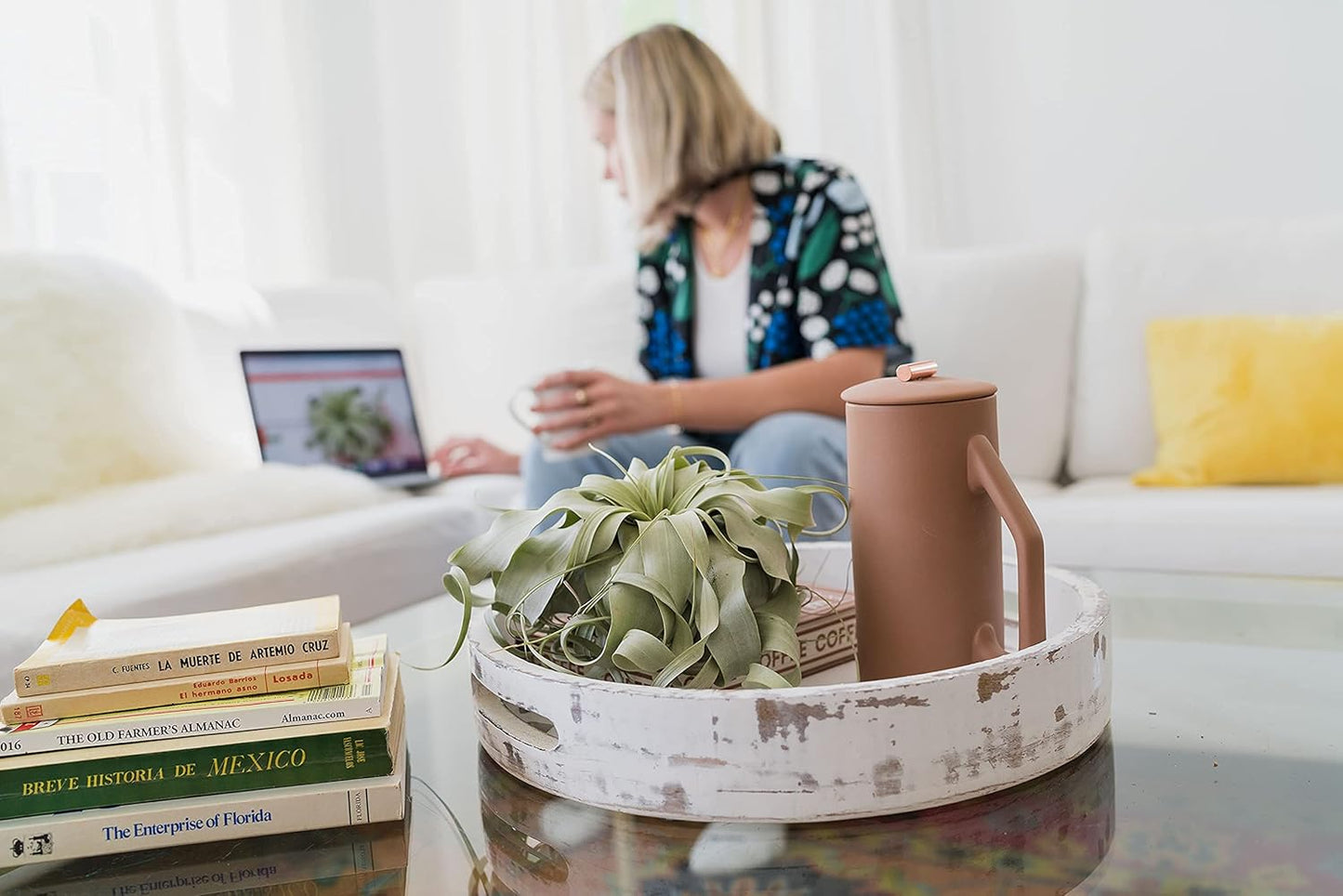 5 Pack Air Plants Red Abdita Tillandsia - Medium Air Plants Live Variety Pack - Live Succulent House Plant - Home Holders and Garden Decor - Easy Care Indoor and Outdoor Plant