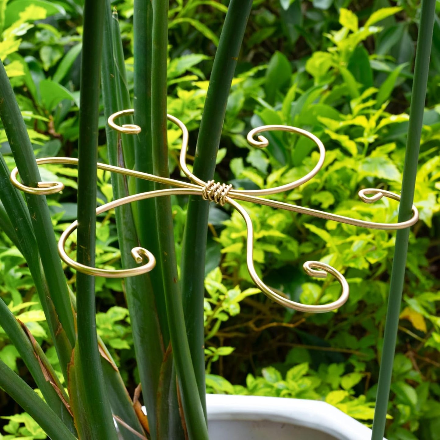 5PCS 7.5 Inch Monstera Plant Stem Support Hook - Premium Metal Structure for Indoor Plants, Durable and Elegant Stem Holder with Soft Touch Clips for Stable Growth