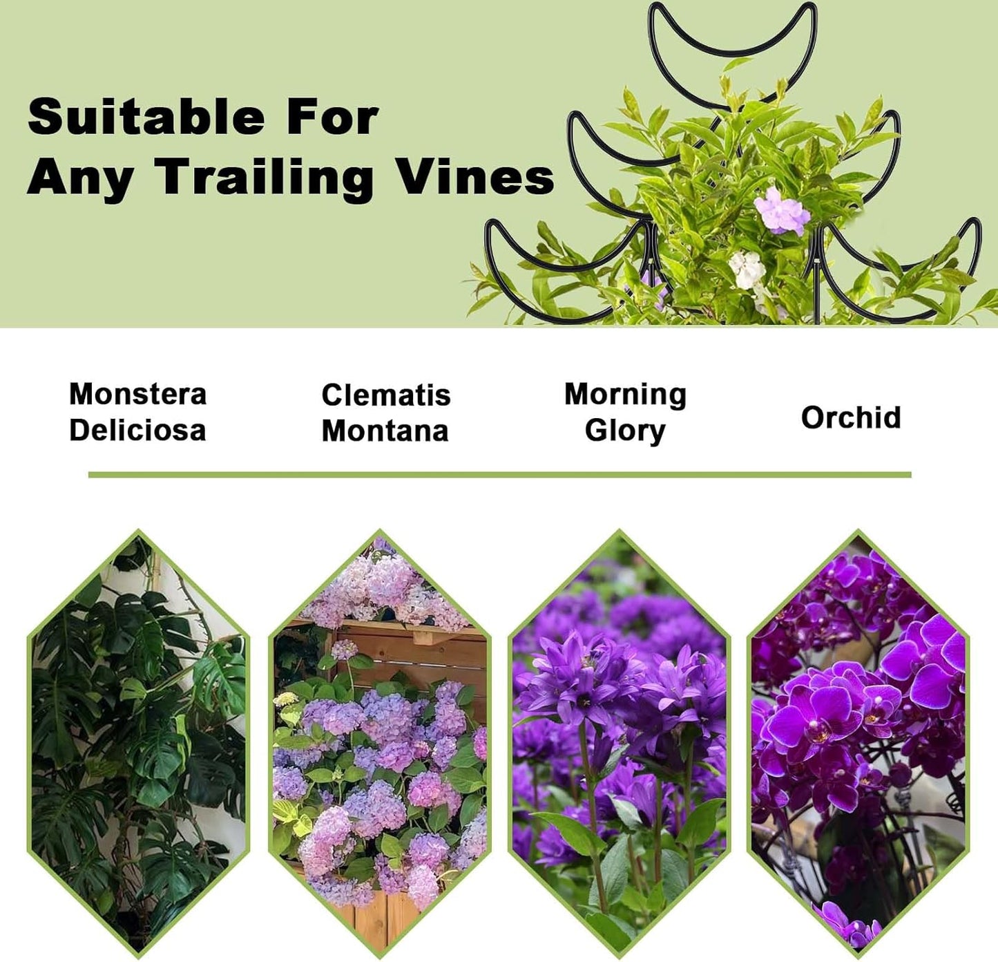 4 Pack Metal Plant Trellis for Climbing Plants Outdoor/Indoor - Sturdy Garden Trellis for Potted Plants, Rustproof Plant Suppor Stakes for Vine Ivy Pothos Monstera Hoya Flowers