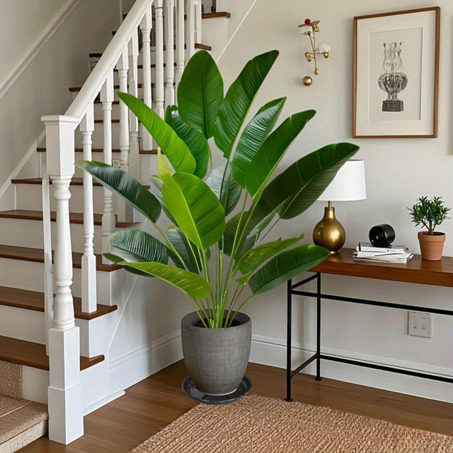 6 Pack of Plant Saucer 10 inch, Heavy Duty Pot Saucers for Plants, Plant Drip Trays for Indoors Outdoor, Plant Water Tray for Planters, Black