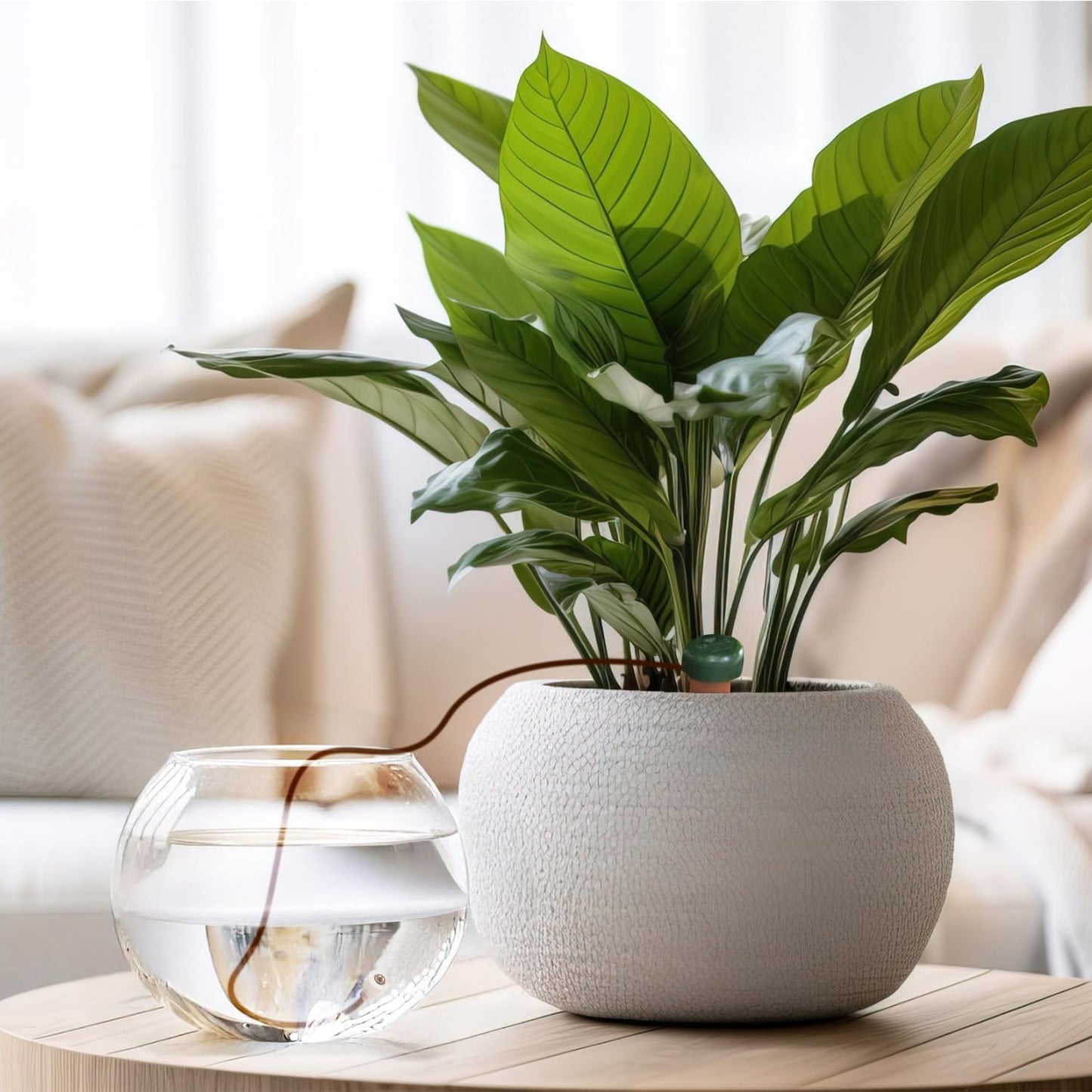 Blumat Classic Plant Watering Stakes (15 Pack) (Without Adapter)