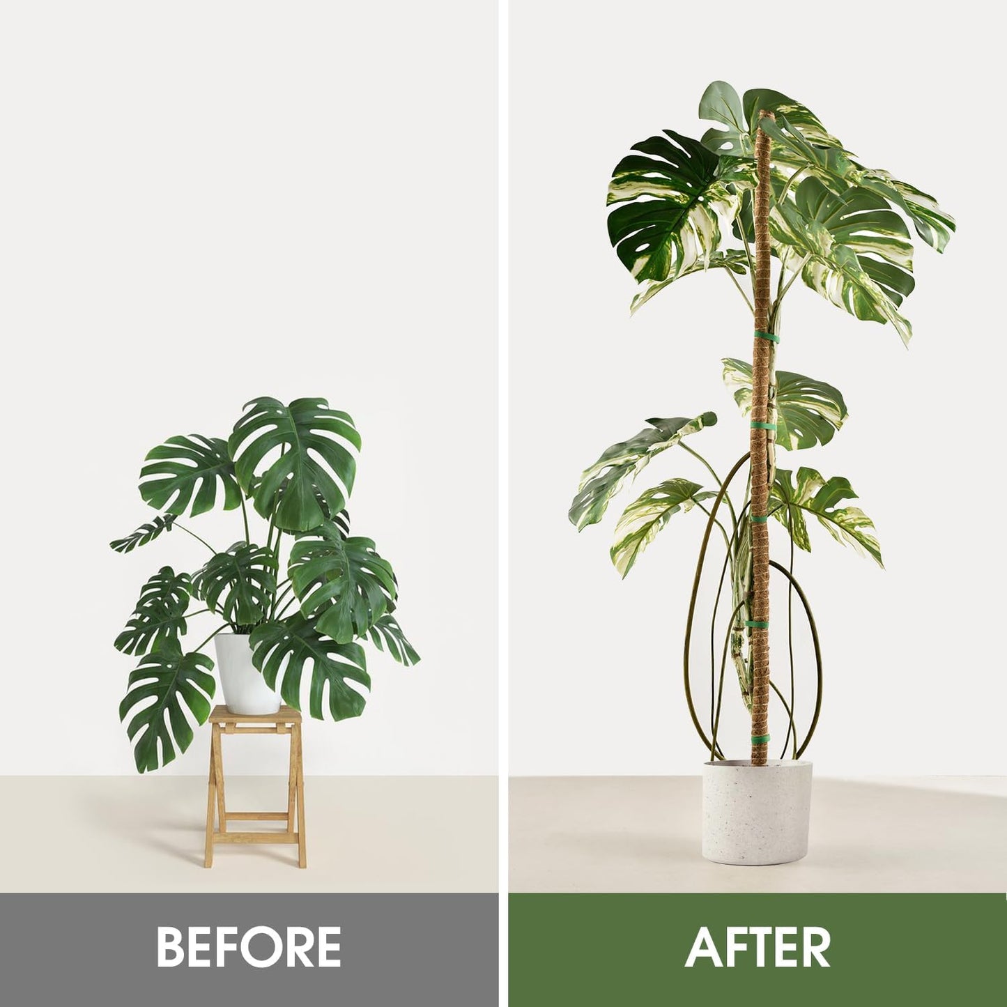 Handmade Coco Coir Moss Pole - 48 Inch Bendable Sticks Support for Climbing Plants, Monstera, Indoor Plants to Grow Upwards