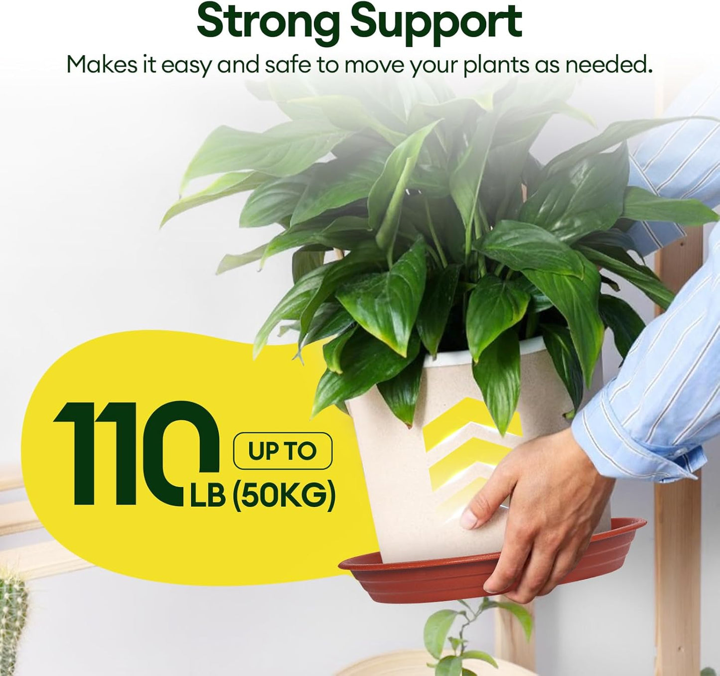 6 Pack Plant Saucer, 8 10 12 inch Plant Saucers for Indoor, Heavy Duty Plastic Plant Trays for pots, Grow Bags, Bird Baths, Flower Drip Trays for Indoor and Outdoor Uses (10", Brown)