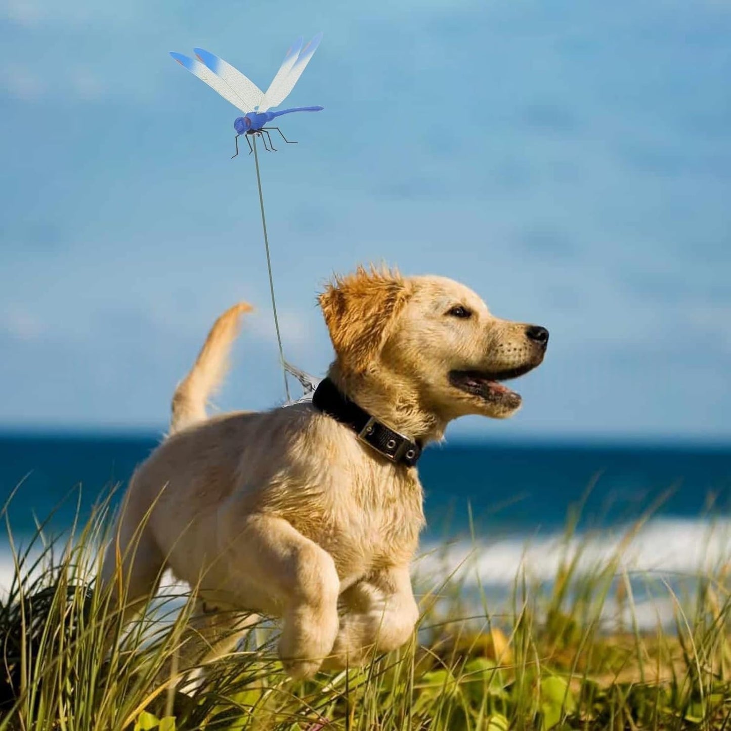 3D Fake Dragonfly Clip - Decorative Fly Repellent Clip Dragonfly Design for Home Garden Outdoor Decor & Pole Mounting