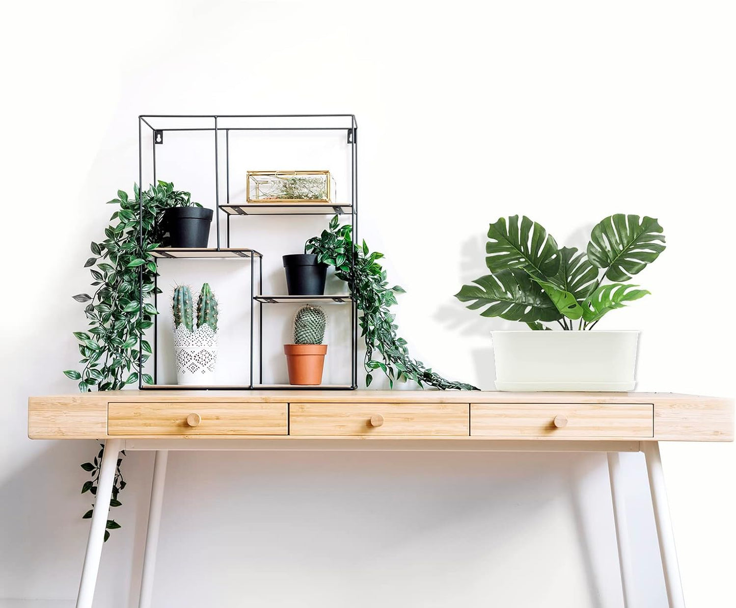 10-Pack Herb Planter with Saucer for Plant Window Box, Plastic Planter with Multiple Drainage Holes and Tray for home Garden Succulents Modern Decorative Window Planter Box Flower Pots Gardening Pot