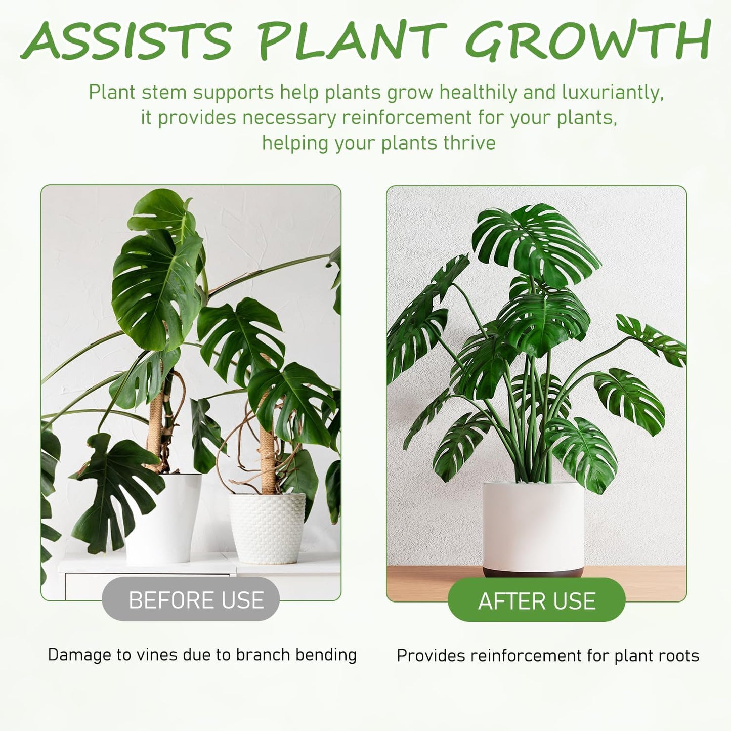 4-Pack Plant Stem Support, Plant Stabilizer for Indoor Plants, Monstera Plant Support System, Plant Stem Holder for Fixing Green Plants and Vines (A)