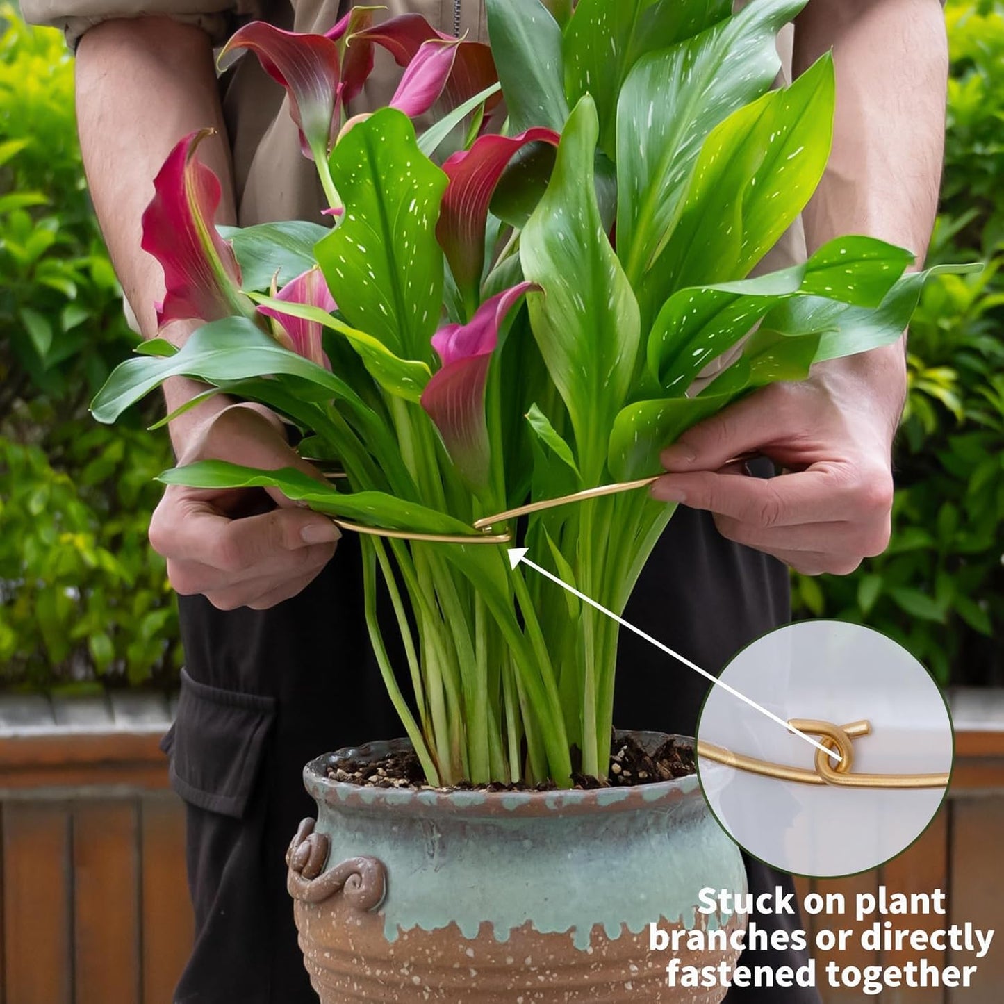 5PCS Monstera Plant Stem Support with Leaf Holders - Innovative Cactus Stake for Indoor Plants - Unique Plant Support Kit for Healthy Growth - Ideal for Gardening Enthusiasts