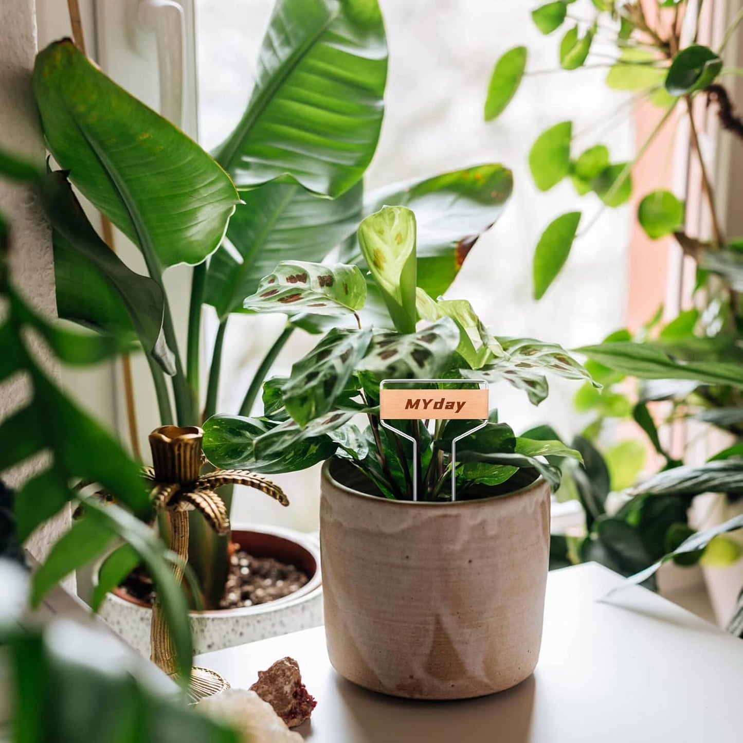 40Pack 10Inch Metal Plant Labels, Garden Plant Tags, Copper Garden Planting Markers for Seed Potted Herbs Flowers Vegetables (30 x 6.5 cm) - Weatherproof