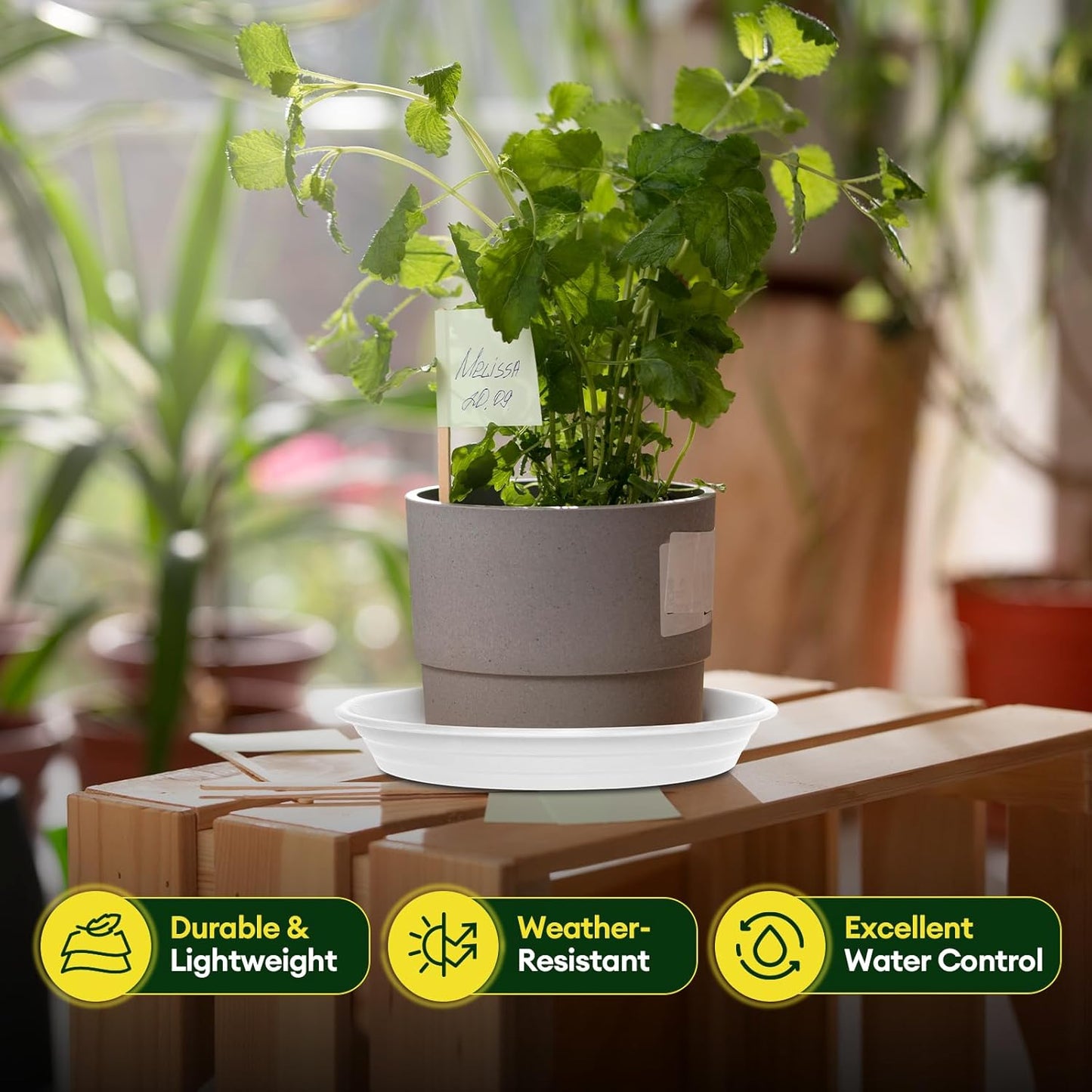 6 Pack Plant Saucer, 8 10 12 inch Plant Saucers for Indoor, Heavy Duty Plastic Plant Trays for pots, Grow Bags, Bird Baths, Flower Drip Trays for Indoor and Outdoor Uses (8", White)