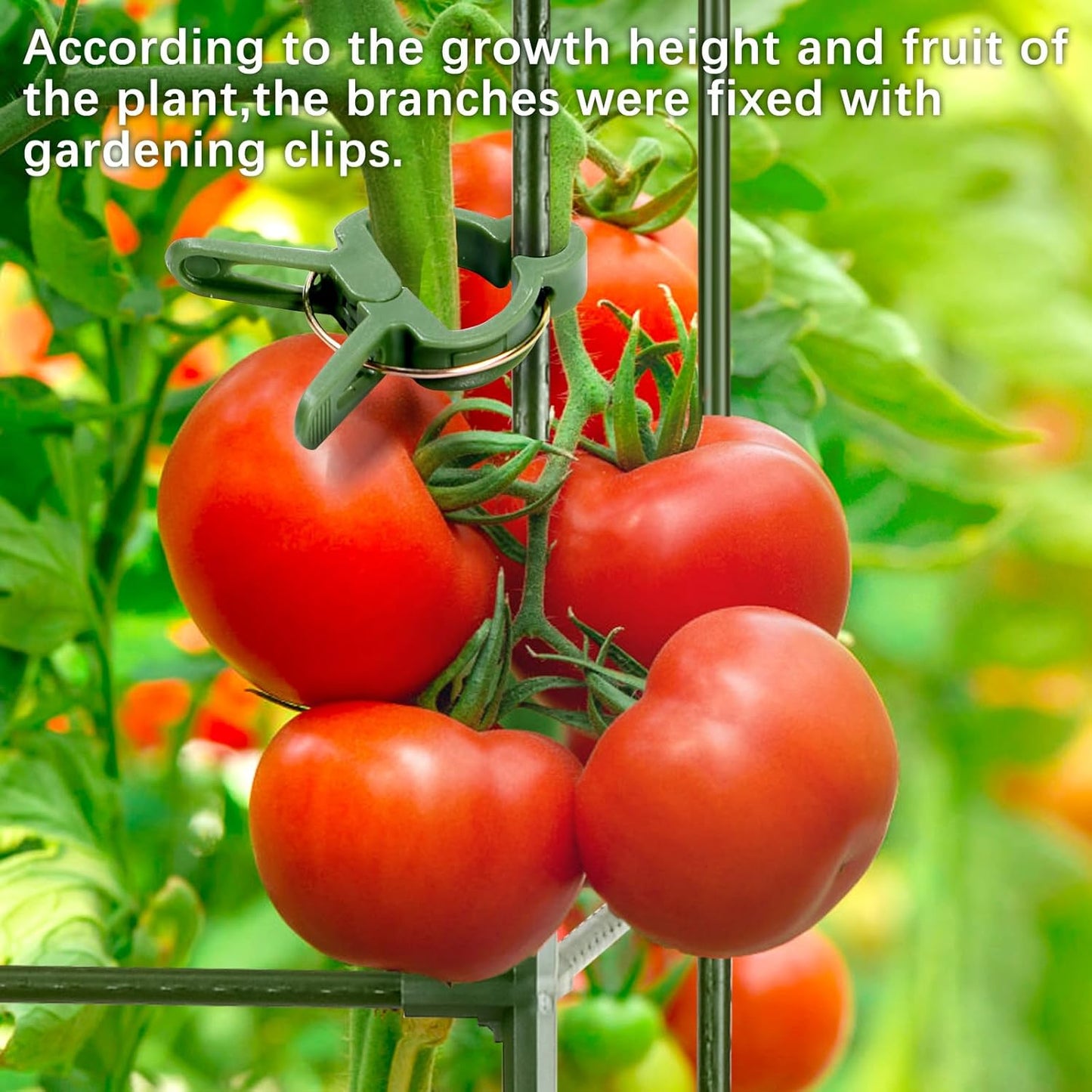 arbxvnrUp to 48.8in Square Tomato cage Garden mesh Plant Support Posts, quadrangular Adjustable Tomato Stand Pot Picking mesh (3pack)