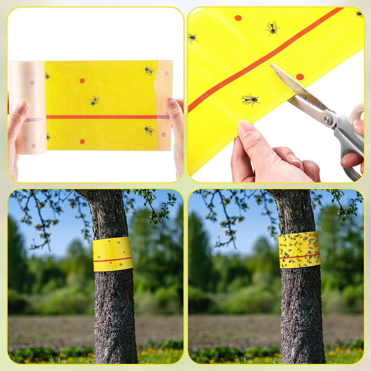 Qualirey 6 Rolls Spotted Lantern Fly Traps 30 Feet Each Roll Fly Tree Trap Sticky Strips Outdoor Fruit Glue Strips Disposable Tape Indoor Paper Sheets for Protecting Trees (Yellow)