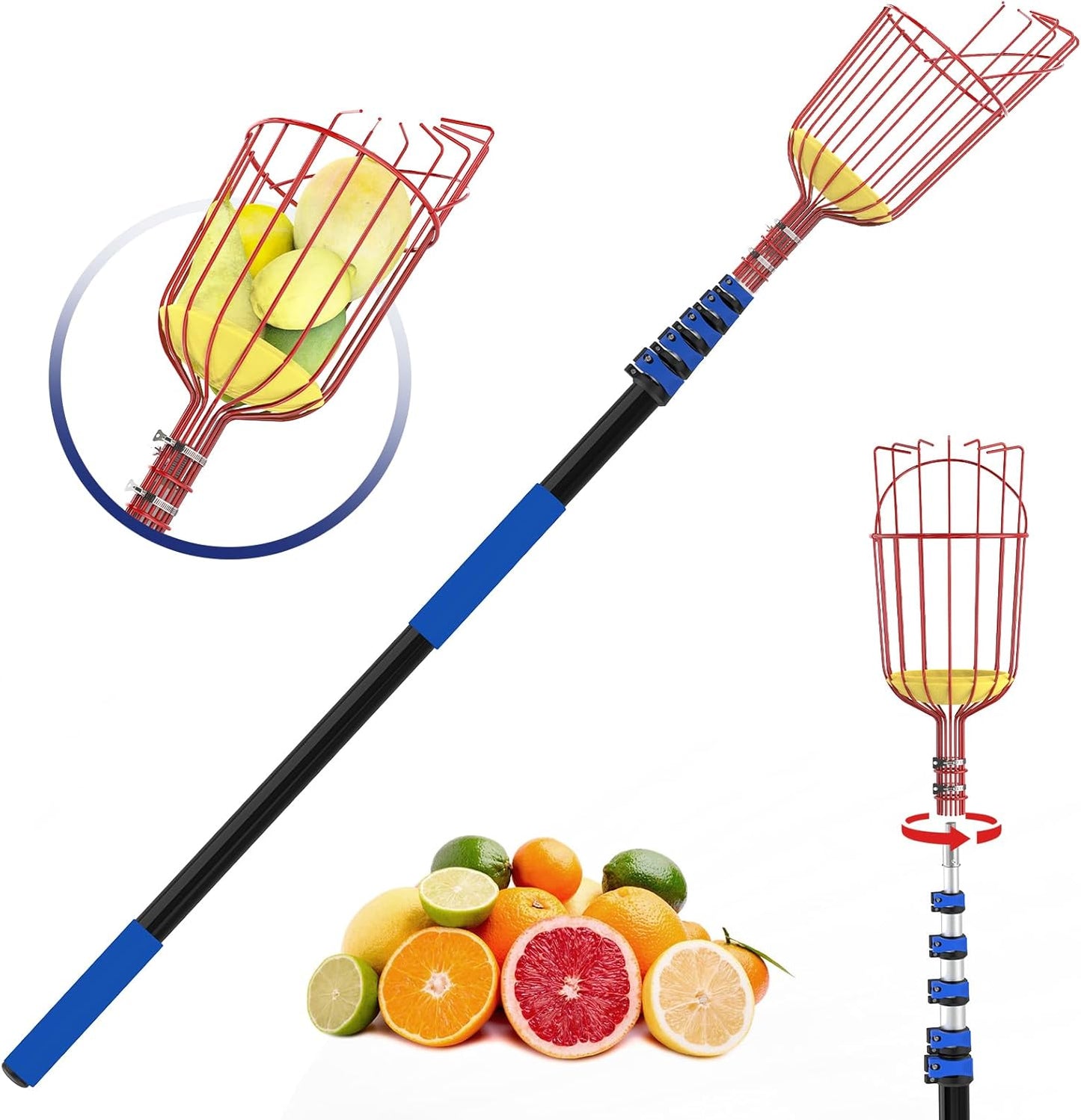 30FT Reach Fruit Picker, 5-24 Foot Sturdy Aluminum Telescoping Fruit Picker Extension Pole with Metal Twist-on Basket, Suit for Apple Pear Lemon Mango Guava Orange Avocados Tree Fruit Picking