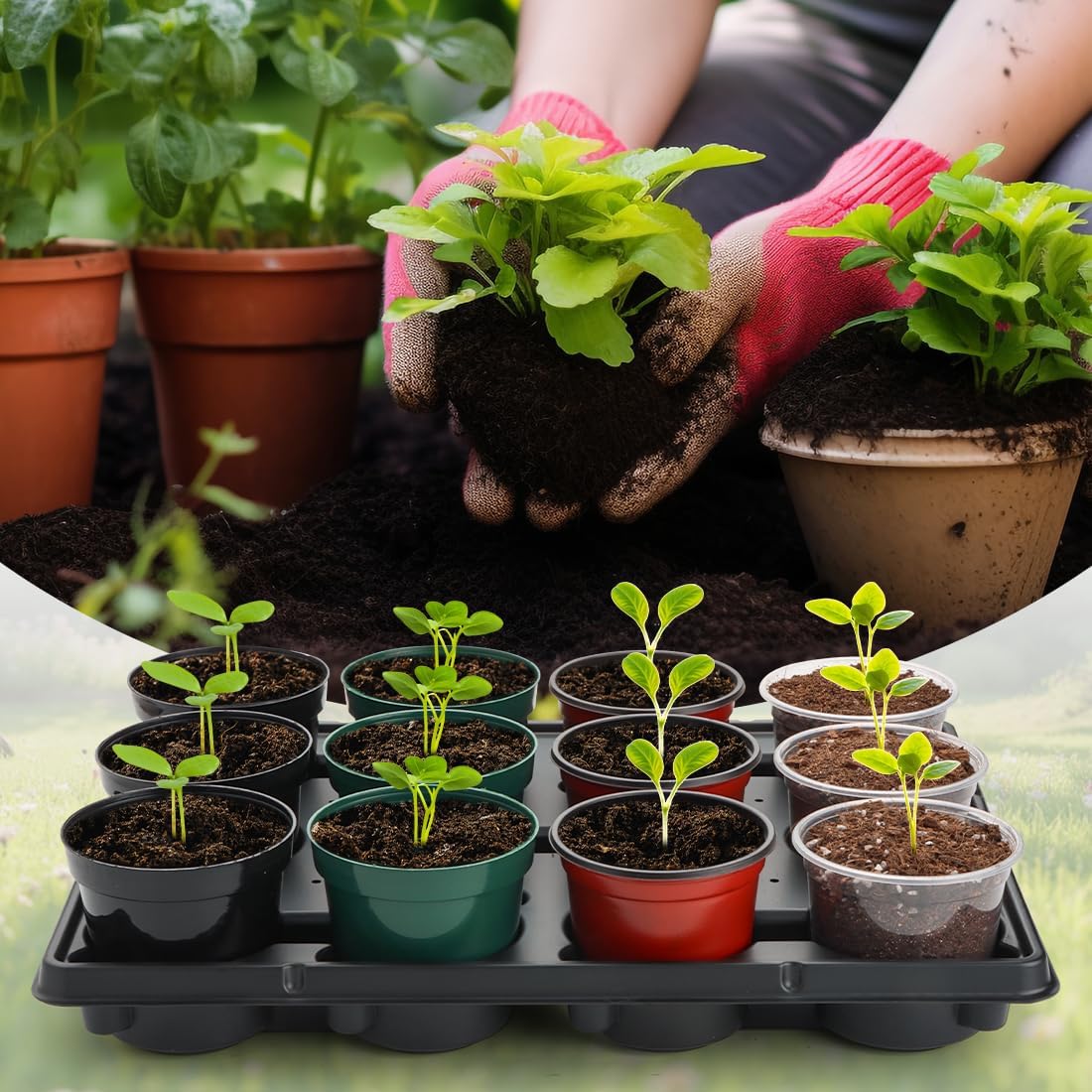 12 Cell Round Nursery Pot Trays Thickened Durable Seedling Pots Shuttle Carrying Trays for Holding 4 Inch Nursery Pots (16.85" × 12.6", 20-Pack)