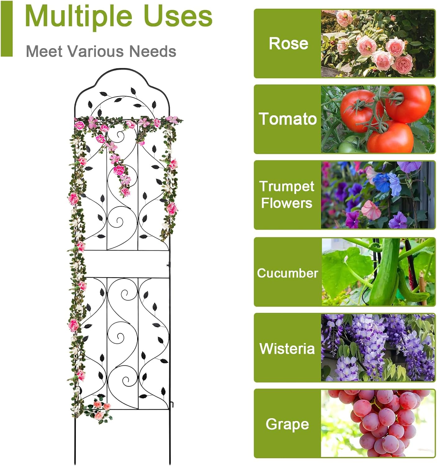 hogardeck Metal 84 * 19 Garden Trellis 2-Packs for Climbing Plants Flowers Vegetables Planting Arched Outdoor Decoration for Courtyards Lawns Gardens