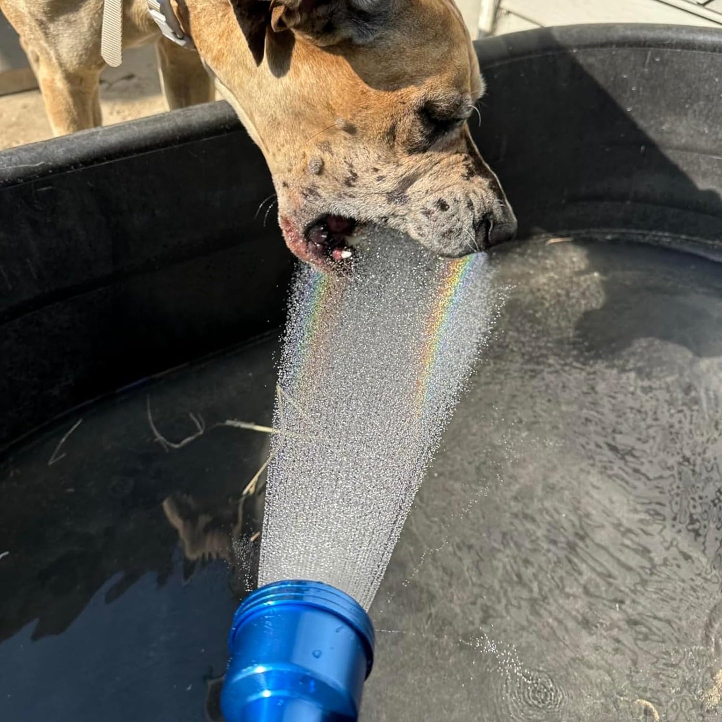 GREEN MOUNT Watering Wand, 24 Inches Sprayer Wand with Superior Stainless Head, Perfect for Hanging Baskets, Plants, Flowers, Shrubs, Garden and Lawn, Blue