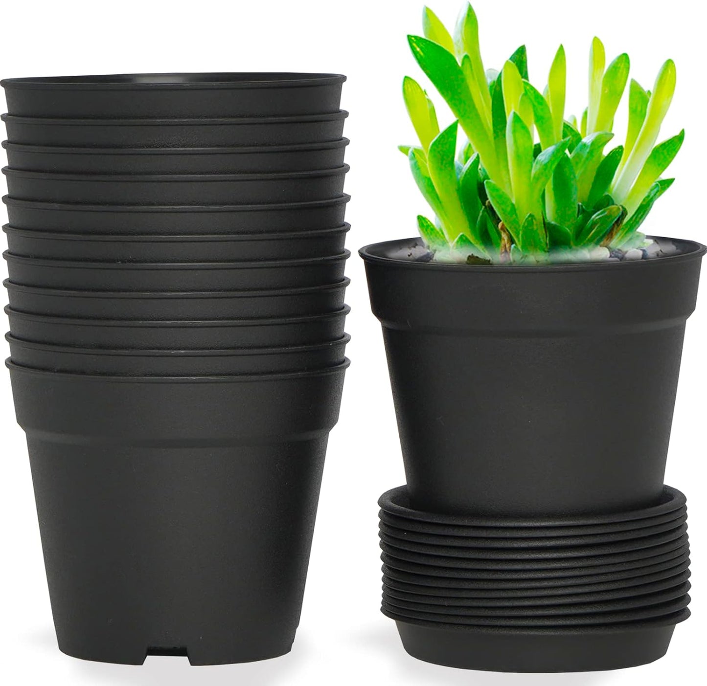 12 Pack 4 inch Plastic Planters, Seedlings Plant Nursery Pots with Drainage Holes and Saucers for Plants Flowers Succulent and All House Plants, Black