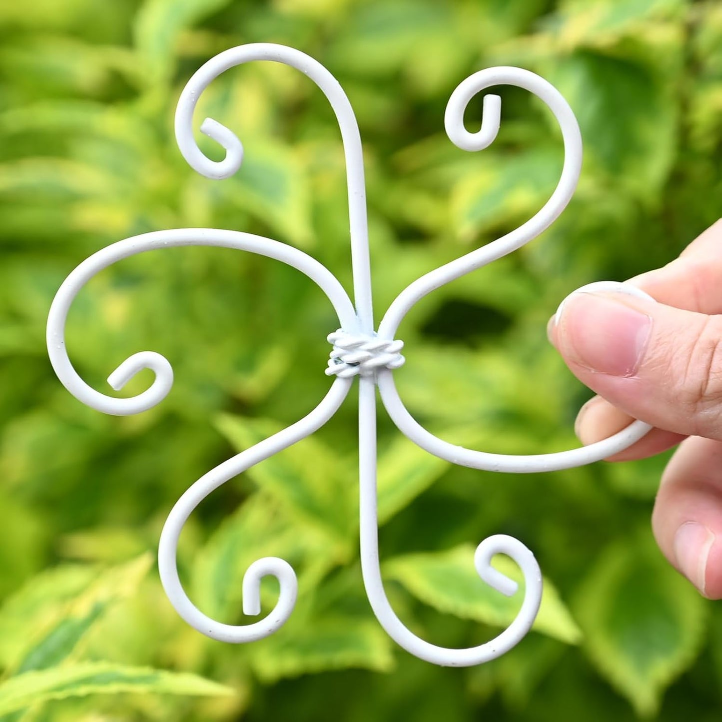 5PCS Monstera Plant Support Hook White 4.1 * 4.1 Inch – Set of 5 Durable Metal Stem Stabilizer Clips & Soft Grip Leaf Holders for Healthy Growth of Monstera & Fishbone Cactus