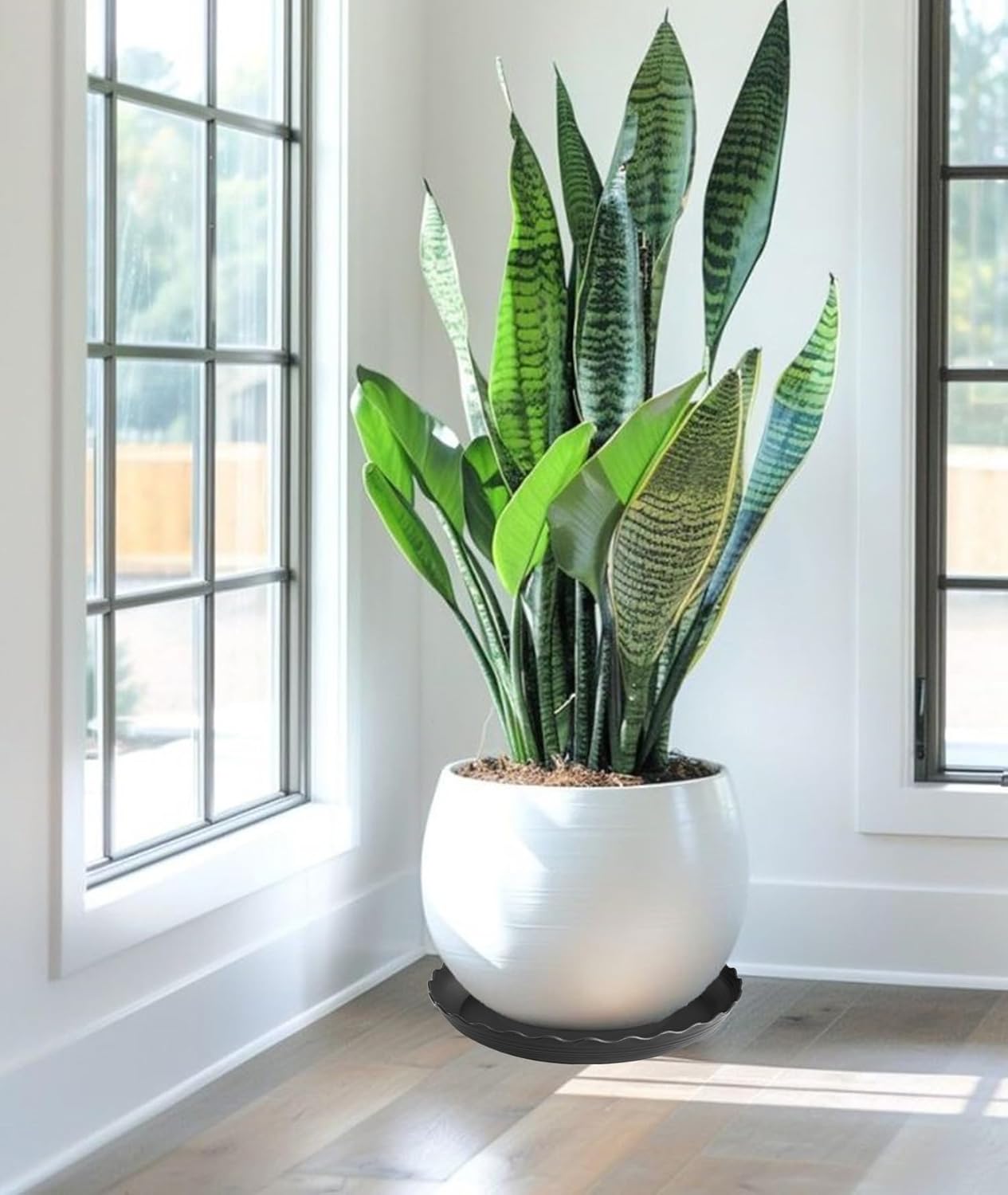 6 Pack of 12 inch Plant Saucer Plant Tray, Plastic Plant Saucer, Heavy Duty Plant Tray for Pots, Plant Saucers for Indoors Planter, Garden Water Plate Bowls (Black)