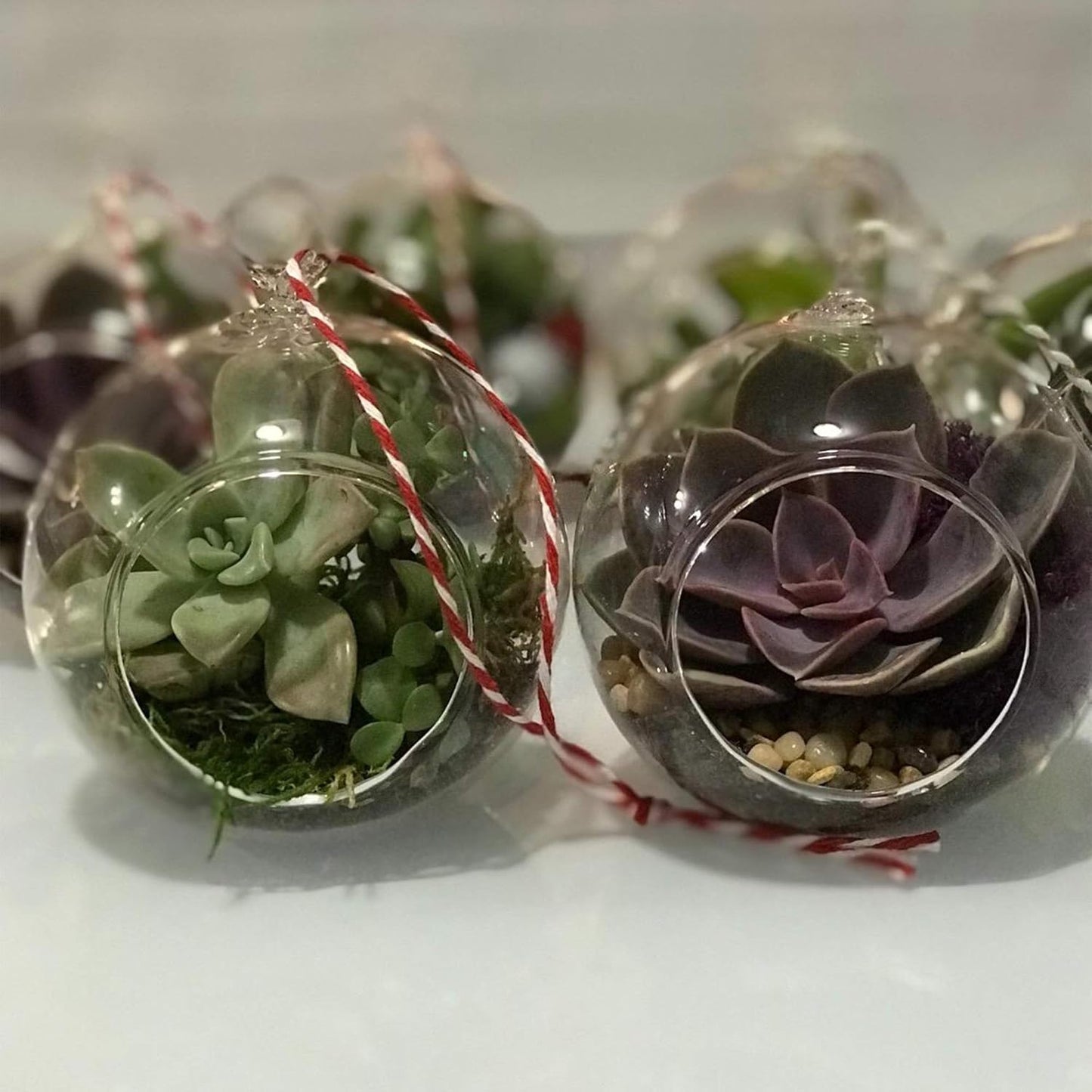 WGV Hanging Terrarium Globe, Width 6", Height 6.5", DIY Air Succulent Planter, Clear Glass Vase Orb with Flat Bottom, Candle Holder for Windowsill Outdoor Garden Decor, 1 Piece