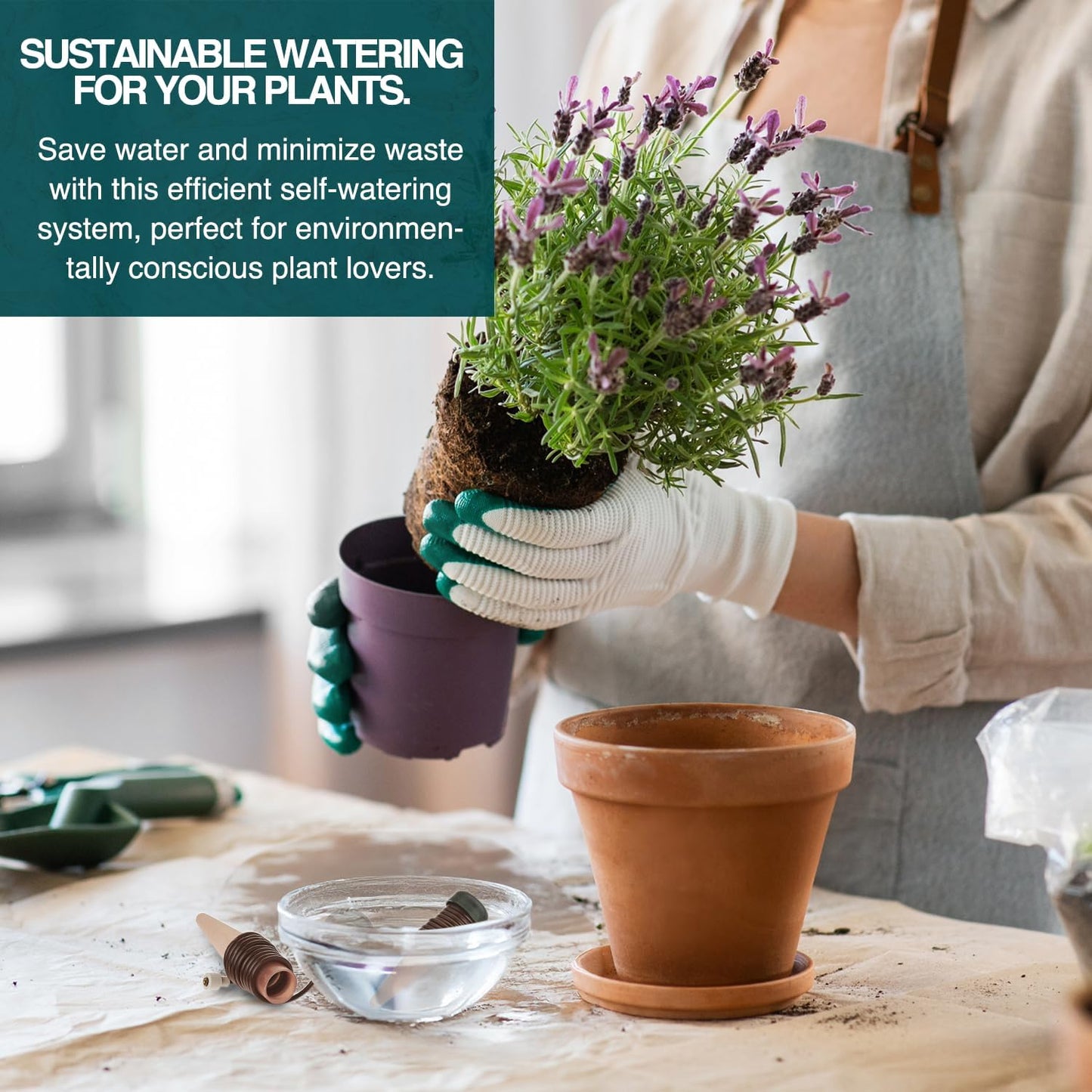 Blumat Classic (Jr.) Automatic Plant Watering Stakes (6 Pack) (Without Adapter)