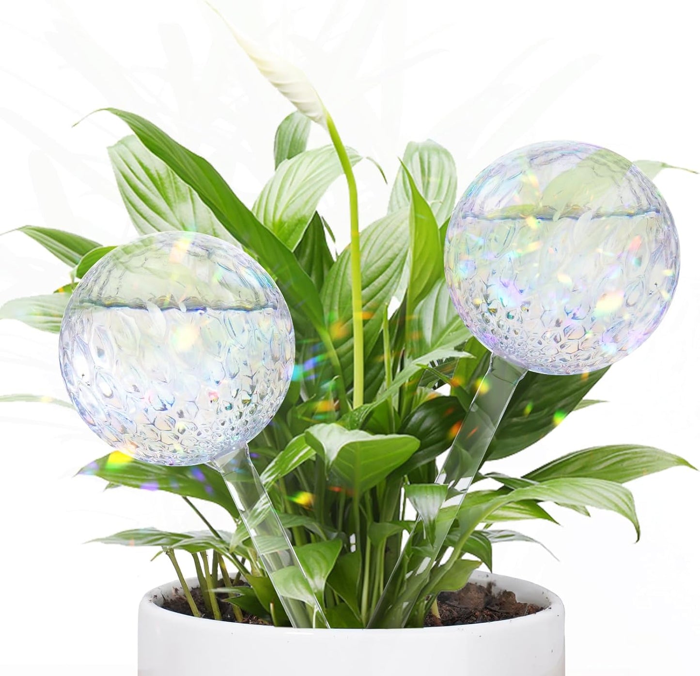 FLORA GUARD Plant Watering Globes, 2-PCS Water Globes for Indoor Plants, RainbowGlass Self Watering Planter Insert, Automatic Plant Waterer Bulbs Devices