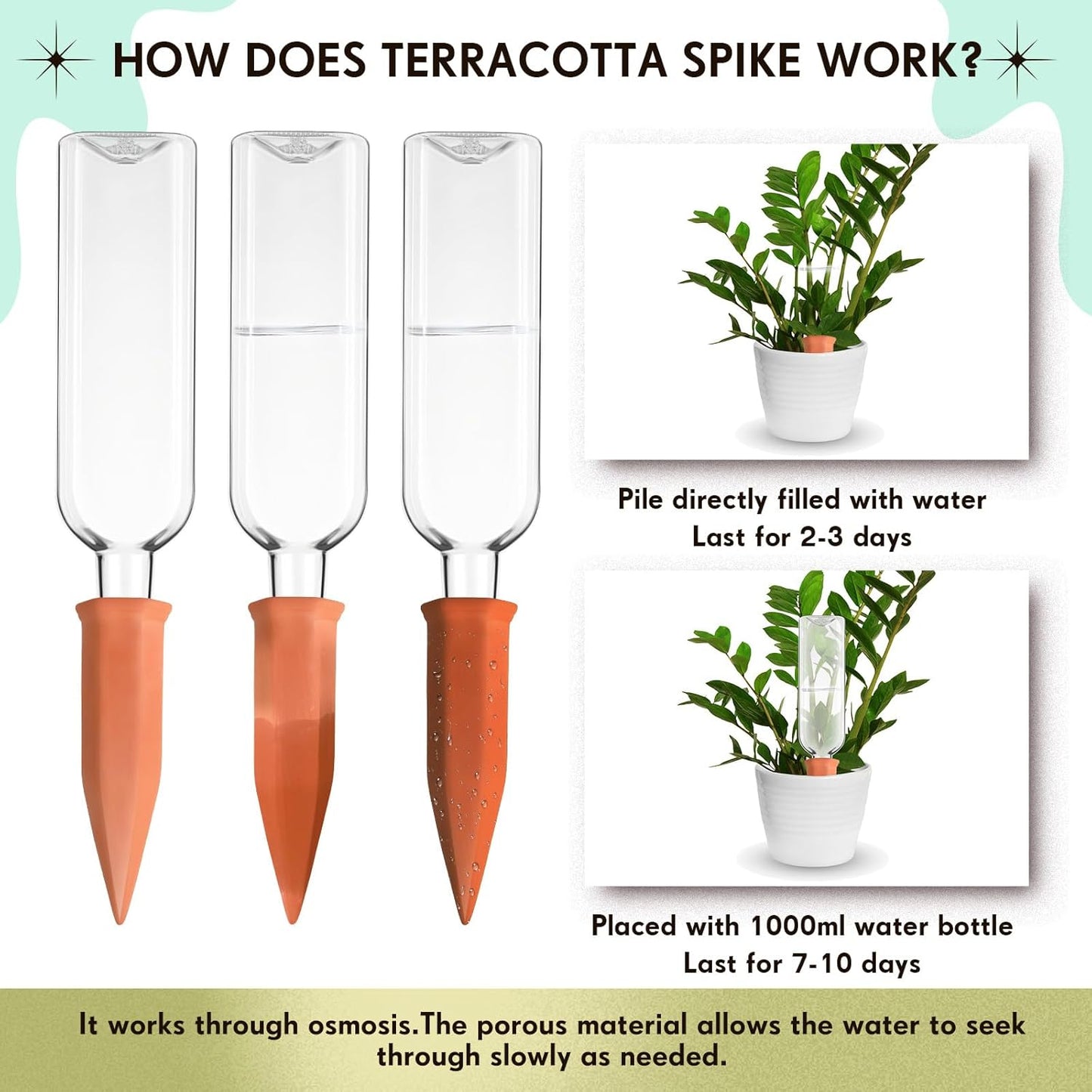 Dandat 12 Pcs 34oz Plant Watering Devices Include Terracotta Self Watering Spikes with 1000ml Plastic Bottles Slow Release Vacation Insert Automatic Plant Waterer Self Water Planter for Garden