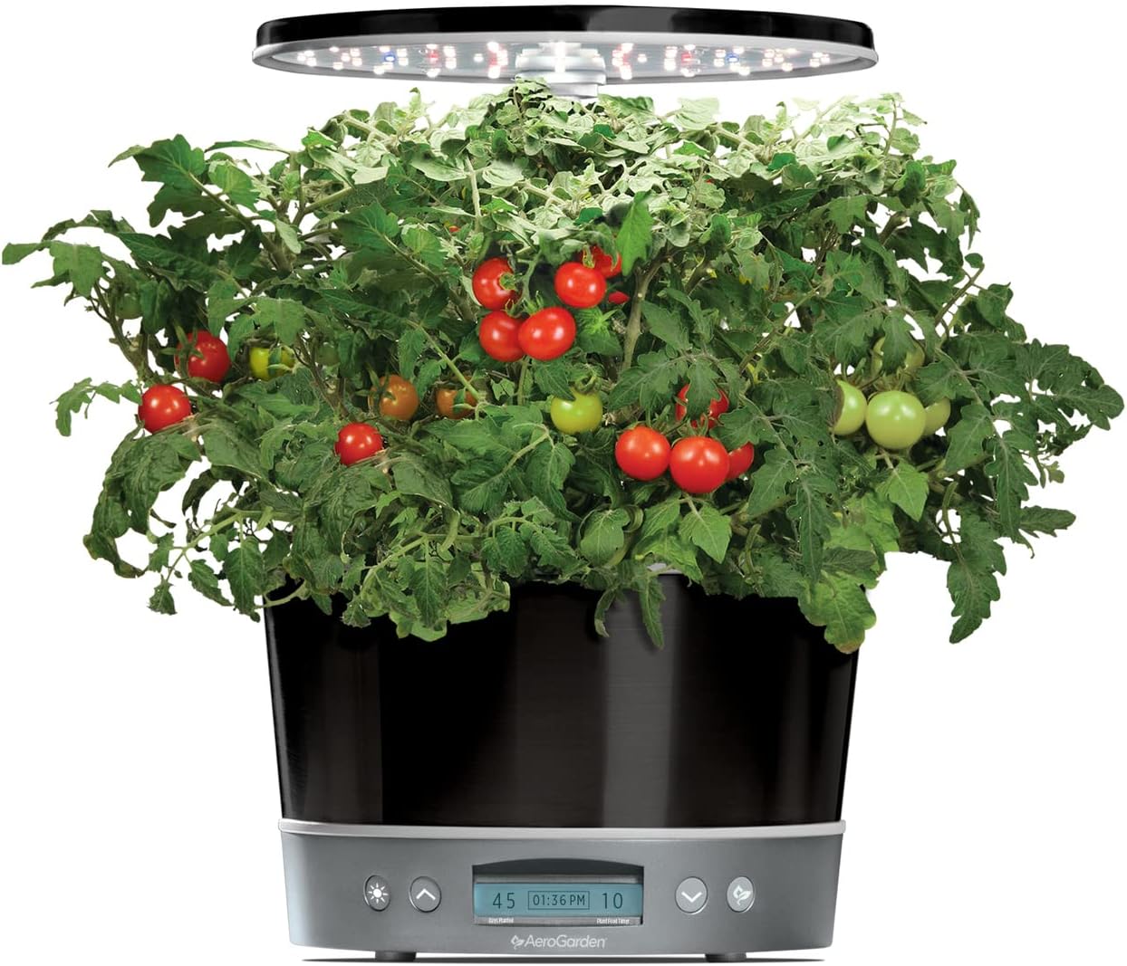 AeroGarden Harvest Elite 360 Indoor Garden Hydroponic System with LED Grow Light and Herb Kit, Holds up to 6 Pods, Platinum