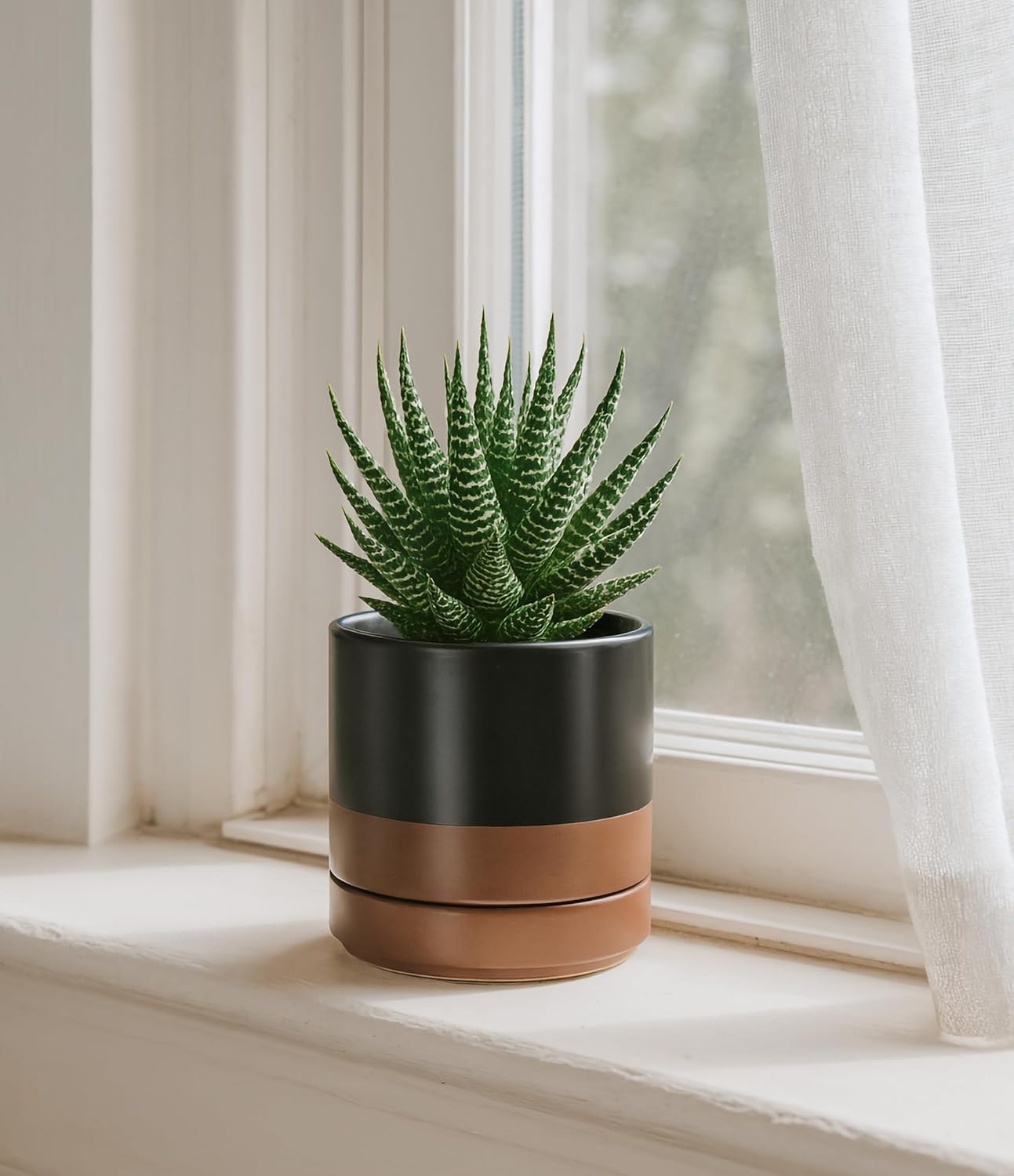 D'vine Dev Set of 4 Small Ceramic Plant Pots, 4.7 Inch Succulent Planter Pot for Plants with Drainage Hole and Saucer, Black/Speckled Tan, 94-X-B-7