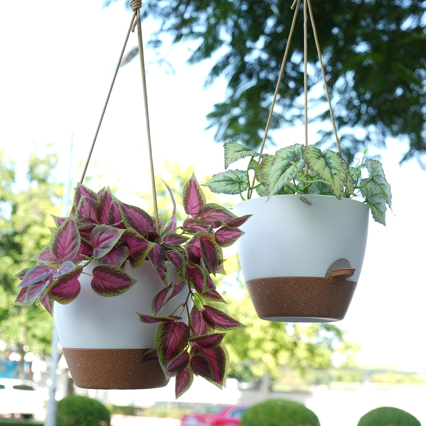 10 Inch Self Watering Hanging Pots, 2 Pack Hanging Planters with 40oZ Deep Reservior for Indoor Outdoor Plants Flowers, White with Brown