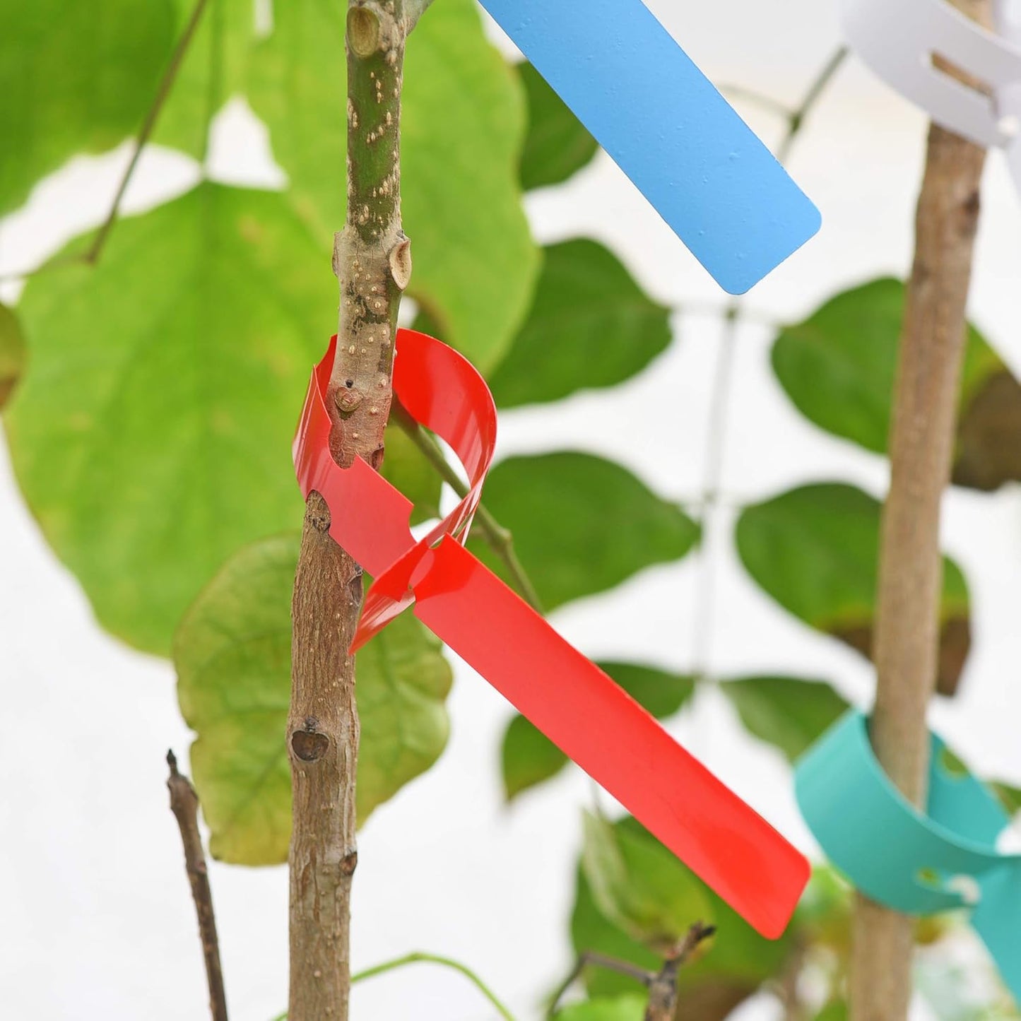 500 Pcs Wrap Around Adjustable Plant Tree Hanging Tags, Plastic Nursery Garden Waterproof Labels, Large Writing Surface (20x2cm, 5 Colors)