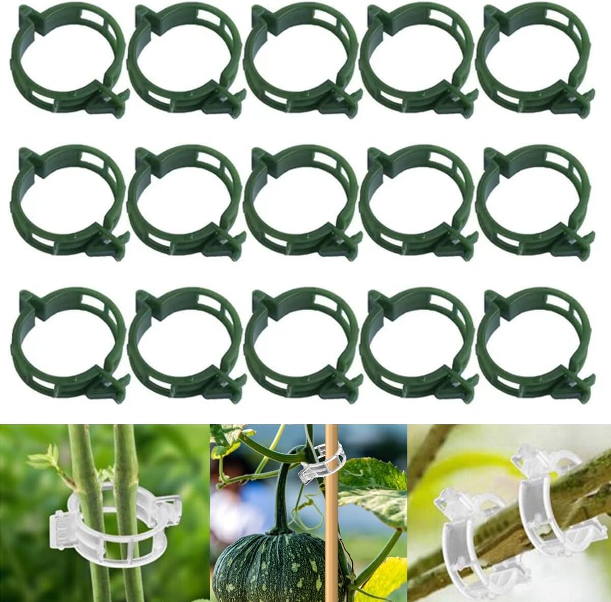 150 PCS Secured Plastic Plant Clip, Plant Support Clips, Garden Clips for Climbing Plants, Plastic Trellis Clips Plant Support Clips Tomato Grape Vine Vegetables Plant Fixing Clips (150, Green)