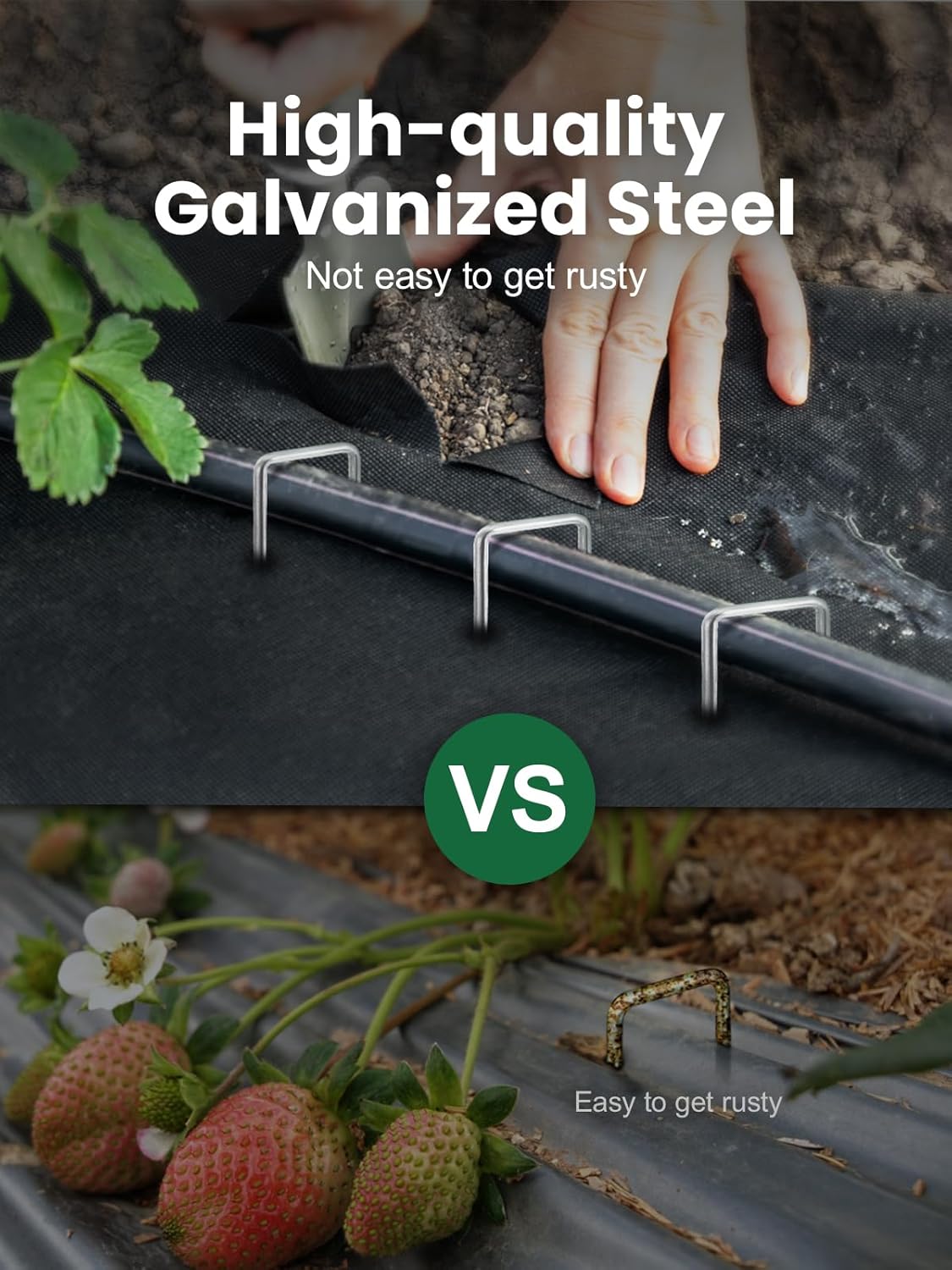 GROWNEER 4 Inch 50 Pack Landscape Staples Heavy Duty 11 Gauge Galvanized Steel Garden Stakes Staples Securing Pegs for Securing Weed Fabric Landscape Fabric Netting Ground Sheets and Fleece