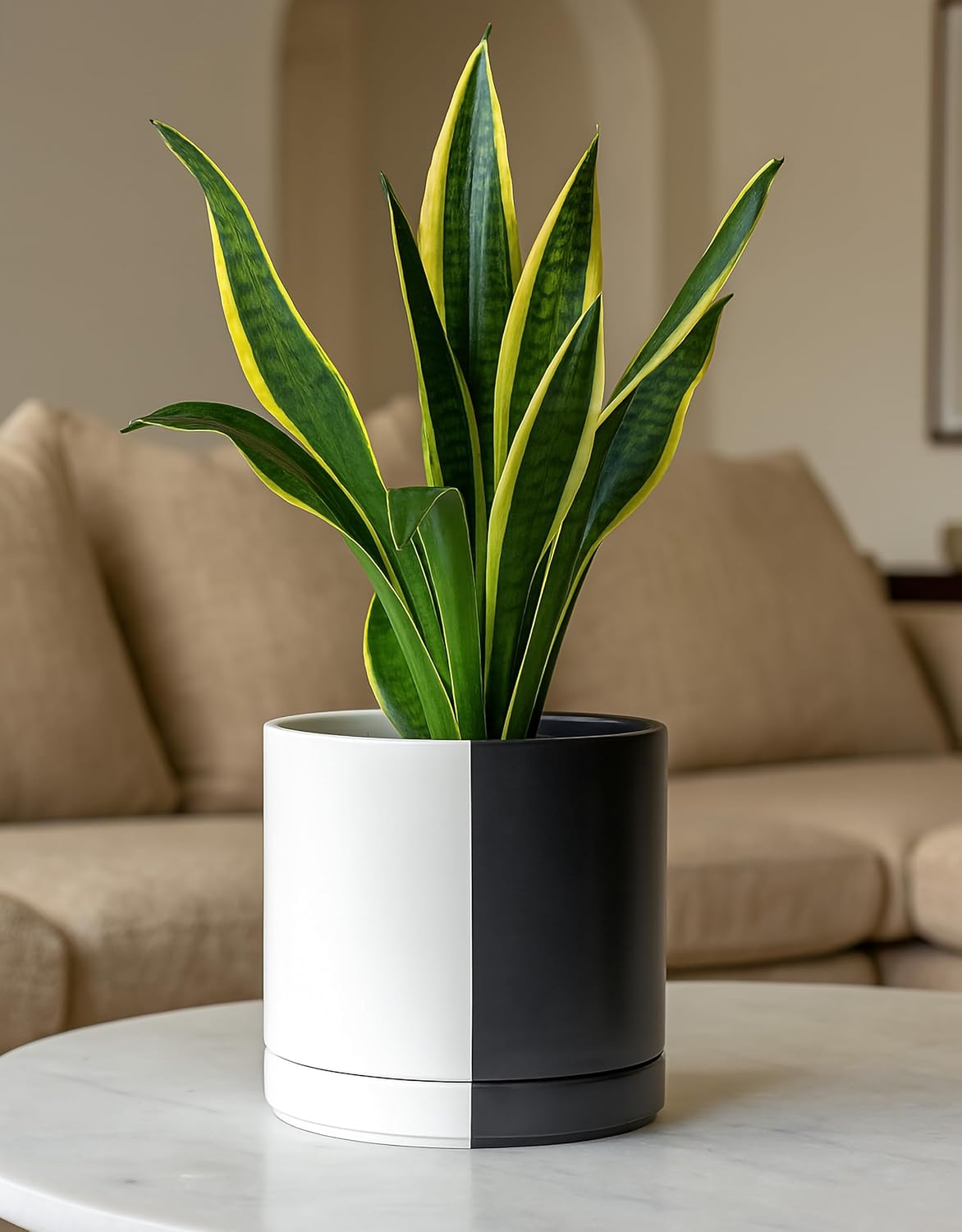 D'vine Dev 8.2 Inch Ceramic Planter Pot with Drainage Hole and Saucer, Indoor Cylinder Round Planter Pot, Split Monochrome Black & White, 94-O-D-0