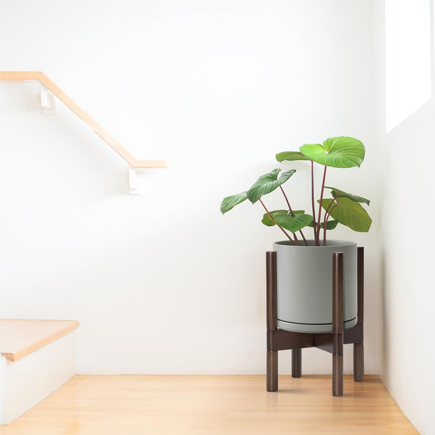 D'vine Dev Ceramic Planter with Walnut Color Stand - 8 Inch Modern Round Flower Pot with Wood Planter Holder, Grey, 55-B-Y-3