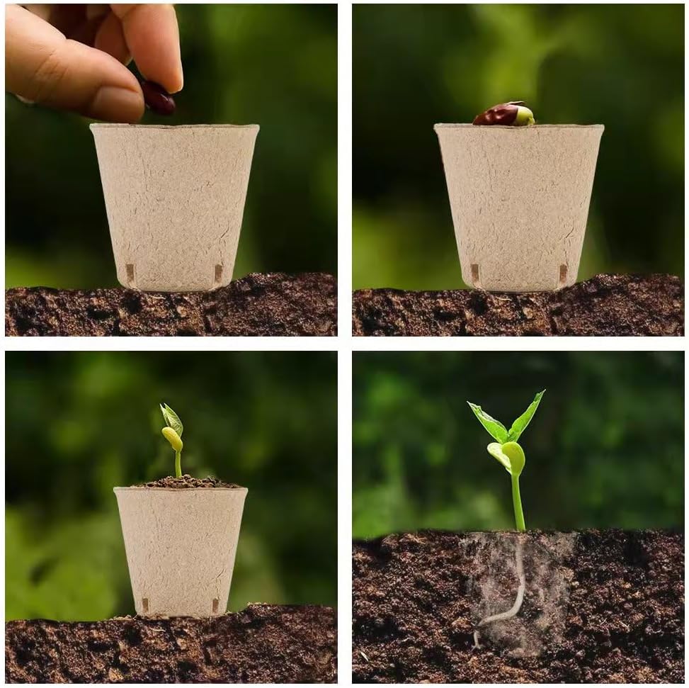 Seed Starter Trays, 174 Pcs 3.15 Inch Round Biodegradable Peat Pots, Drainage Holes Nursery Pot, (Light Brown Round)