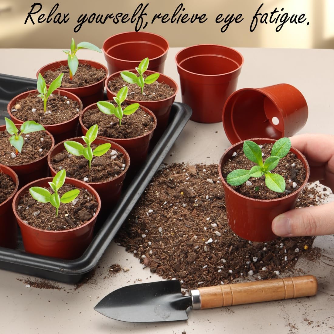 100-Pack 2.5 inches Plus Tiny Round Plant Pots Succulent Seedling Nursery Pots Made from Virgin Grade PP Material(Tiny, 68mm2.5 inch)