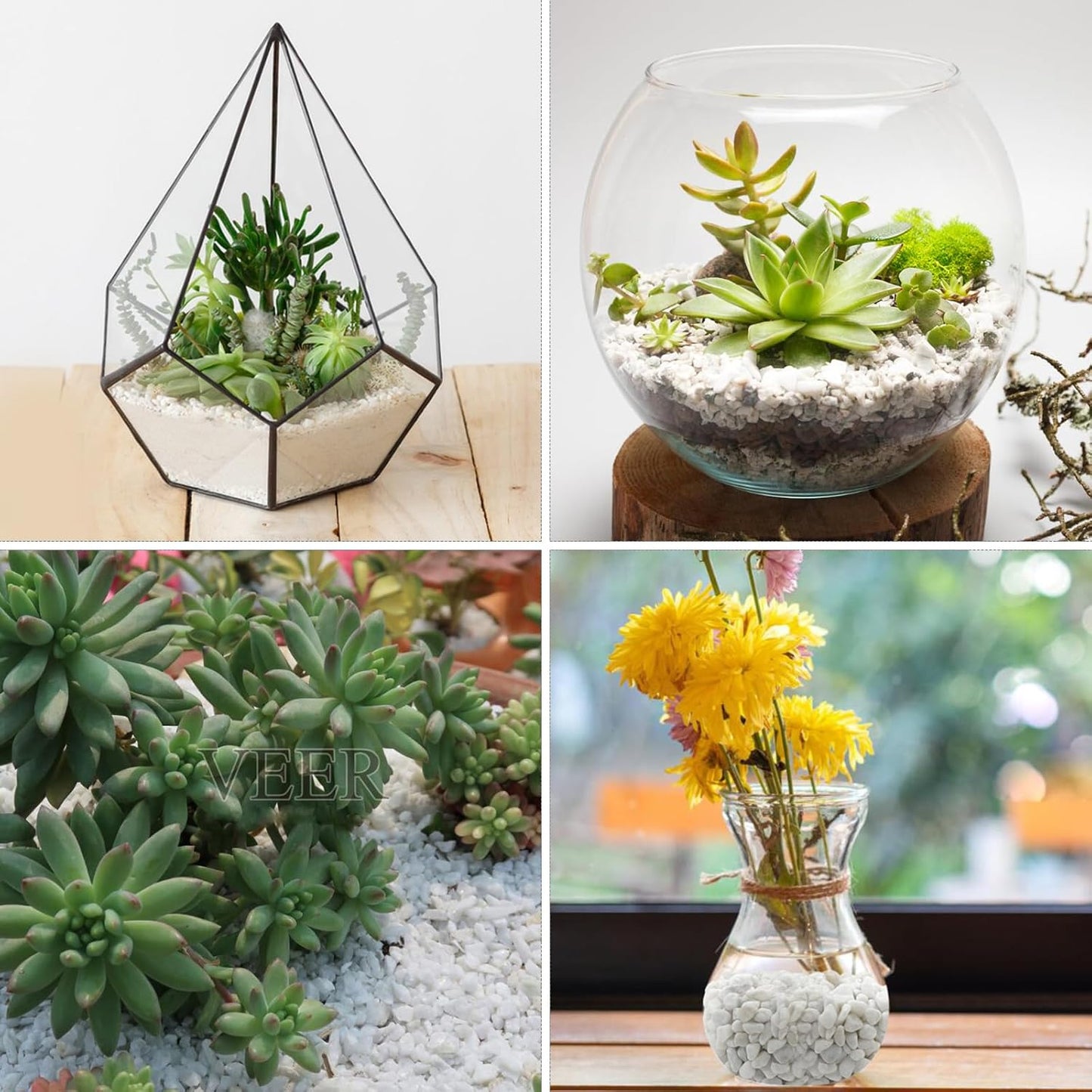 2lbs White Pebbles for Indoor Plants, 3/8inch Small Rocks for Succulent Cactus Planters, Natural Polished Pebbles, River Rocks for Plants, Vases, Garden