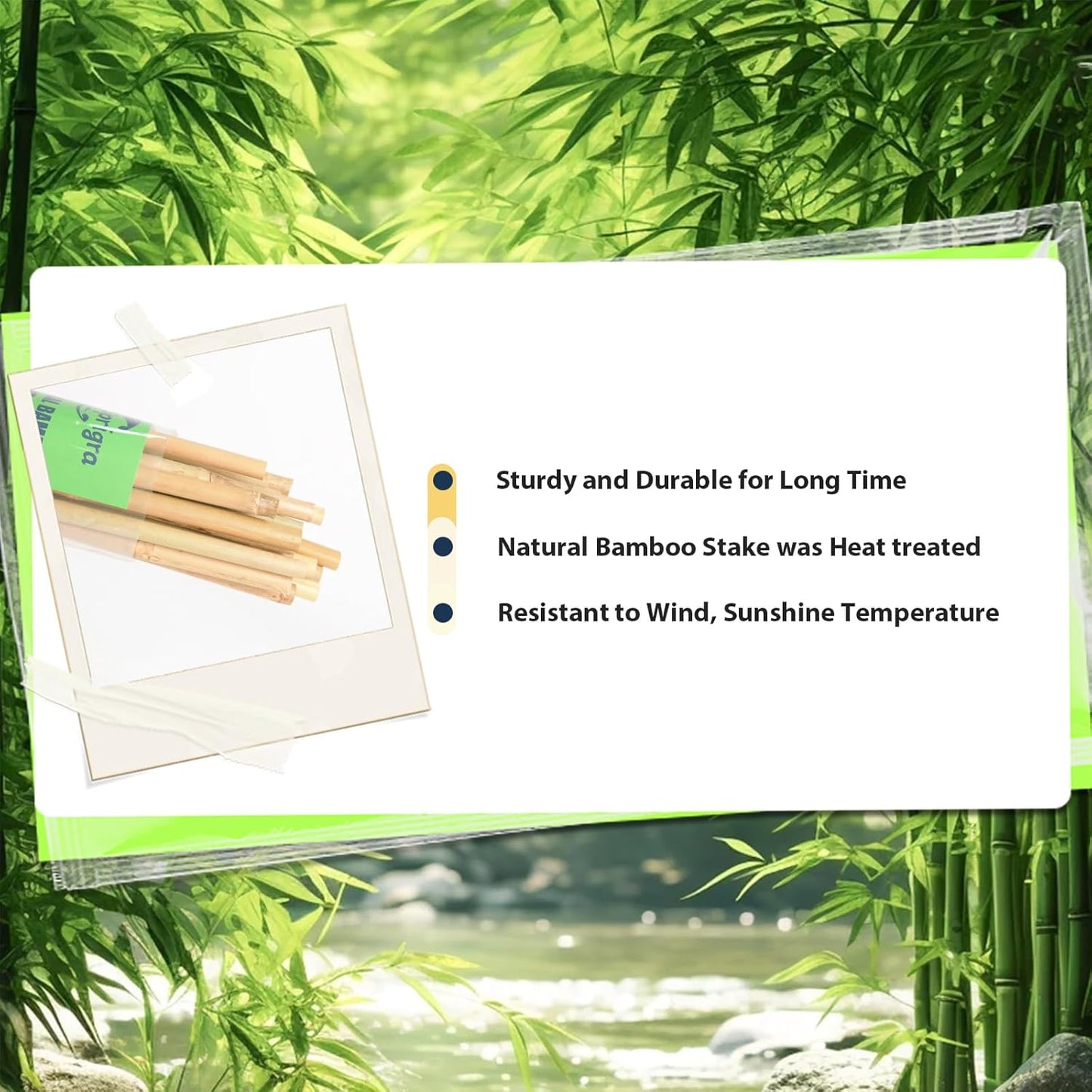 Bamboo Stakes 8 Feet, 96 inch Garden Stakes Multi-Purpose, Bamboo Plant Support Stakes for Tomatos, Beans, Cucumbers, Peppers, Potted Trees, Maintain The Plant Posture, Strengthen and Stem