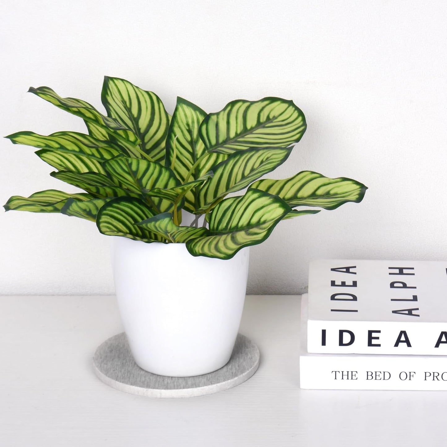 2 PCS Plant Saucer Flower Pot Saucers, Absorbent and Quick-Drying Plant Coasters, Diatomaceous Earth Round Plant Drip Trays for Keeping Counter and Floors Dry and Clean, Gray (10-inch)