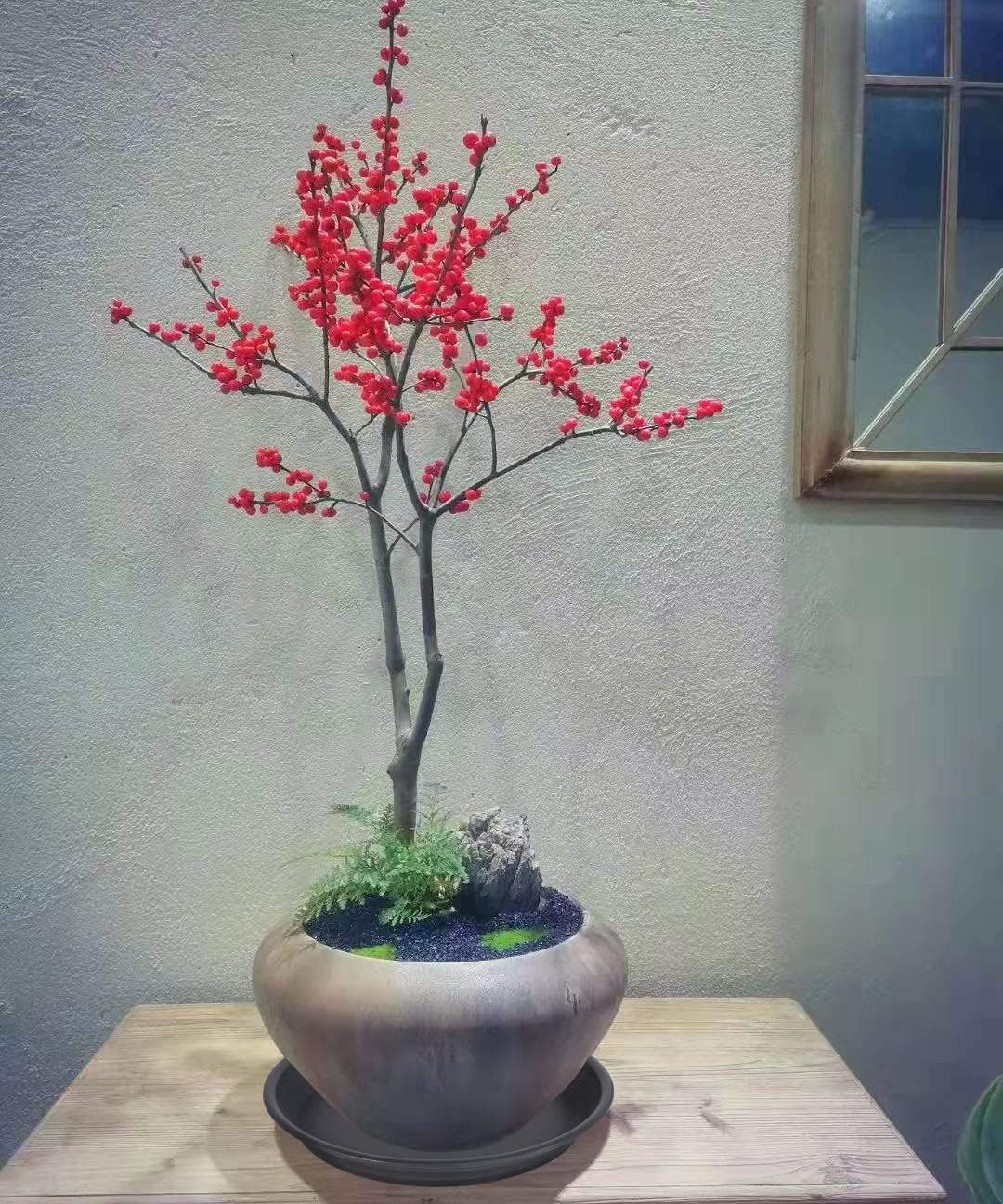 4 Pack Plant Saucer Drip Tray 13 14 inch, Large Plastic Flower Planter Saucers and Drip Trays for Indoors Outdoors, Heavy Durable Plant Plate Water Catcher (14", Black)